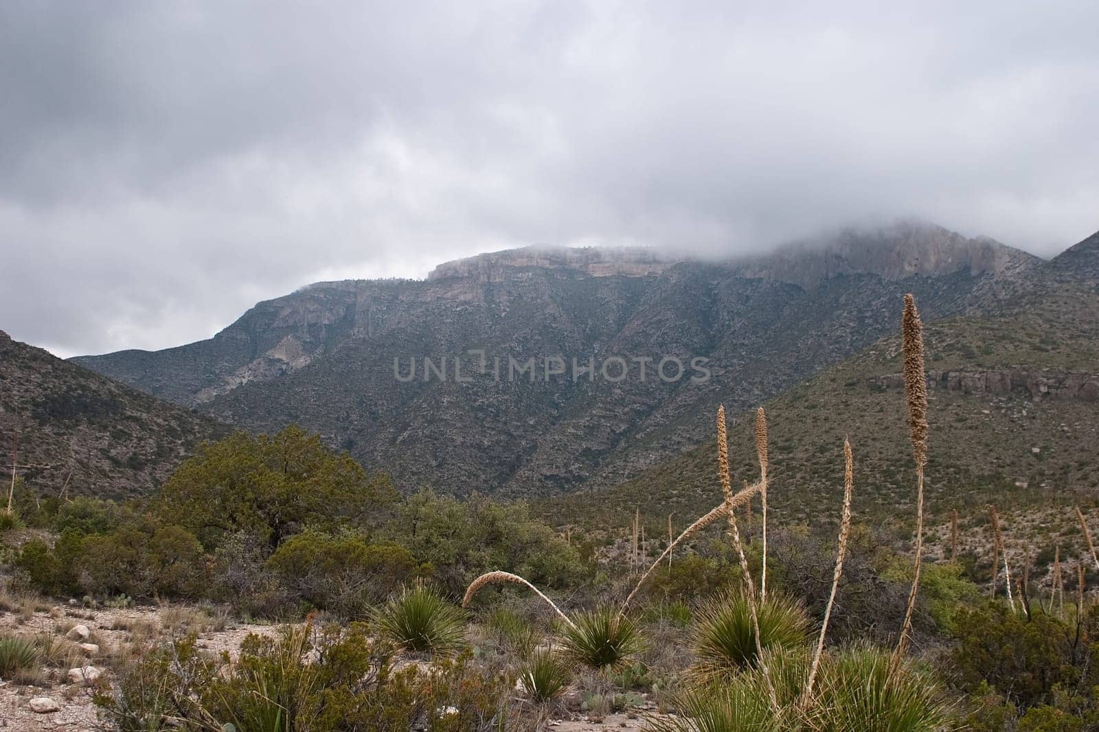 Guadalupe Mountains