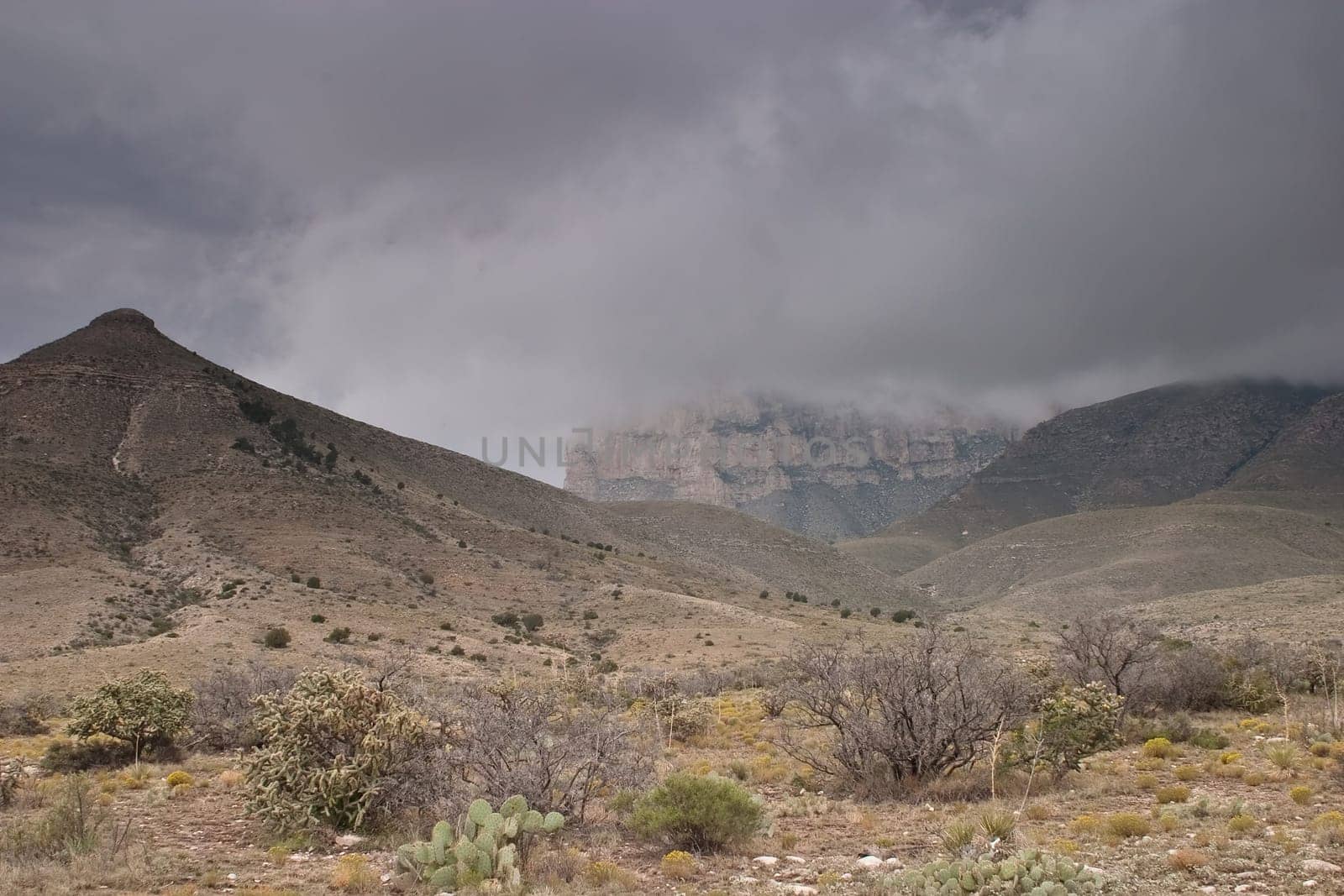 Guadalupe Mountains
