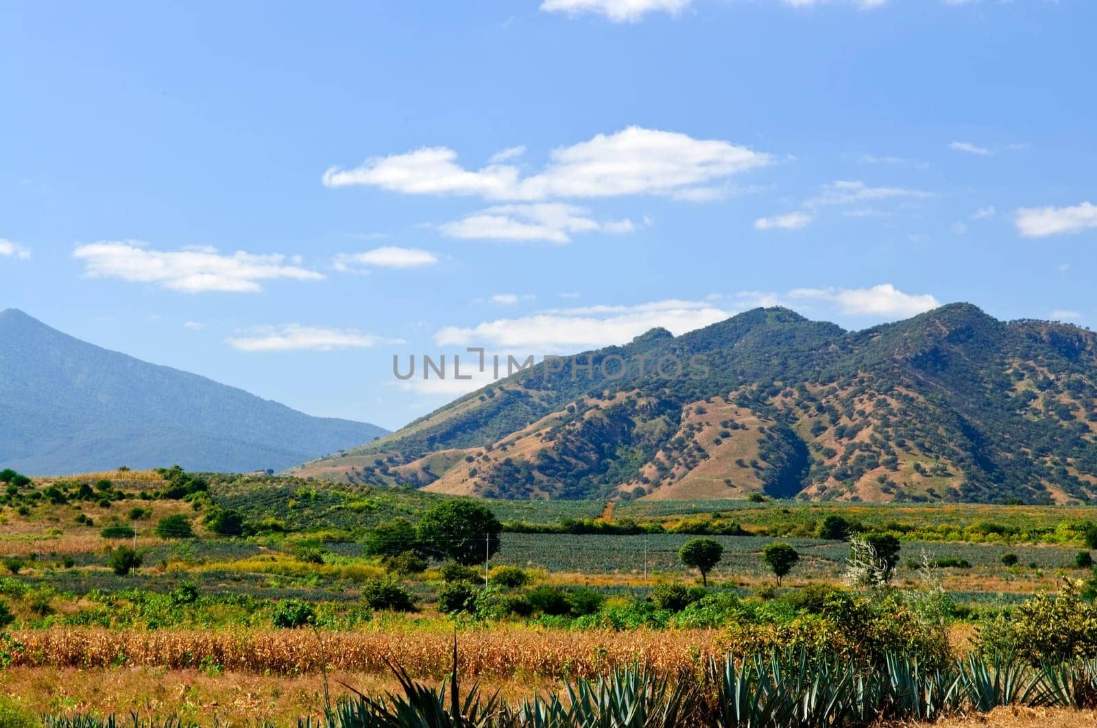 Landscape in Jalisco,  Mexico