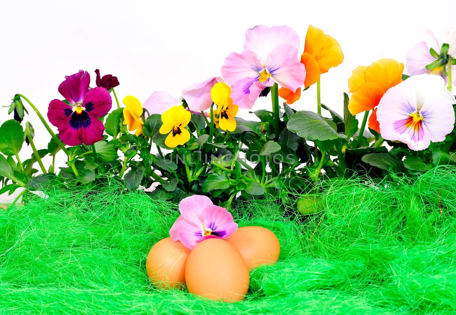 Easter Flowers Eggs