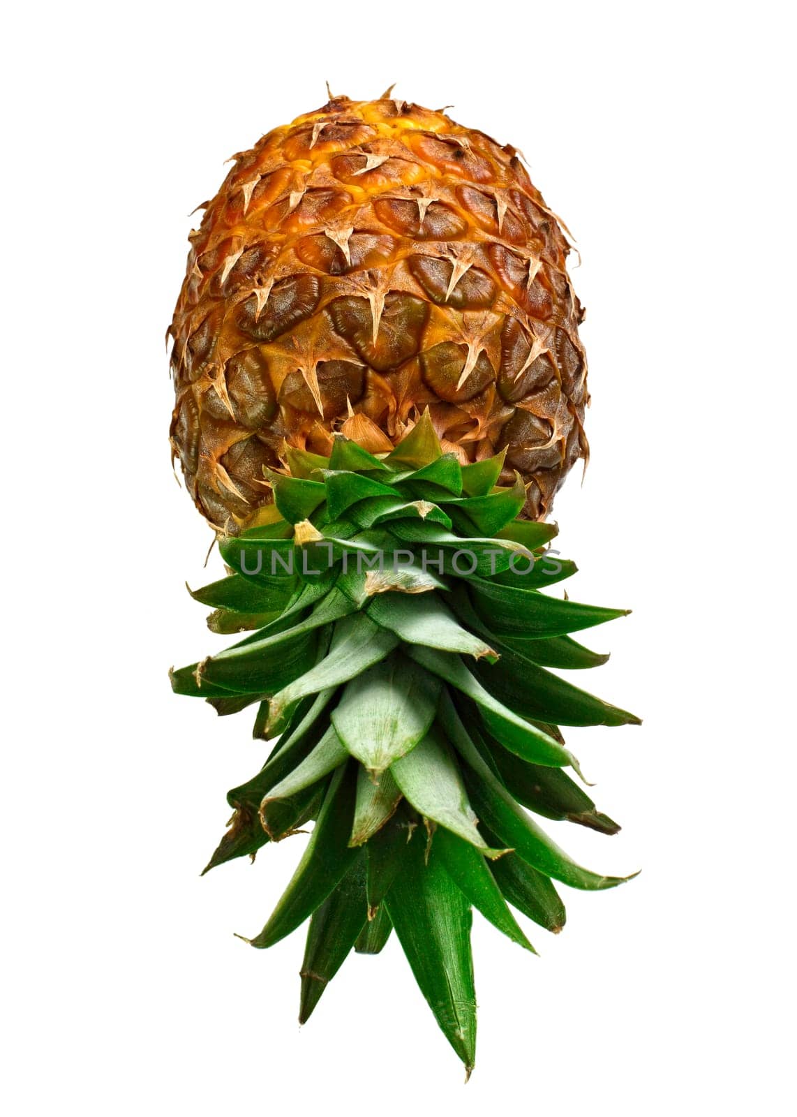 pineapple background