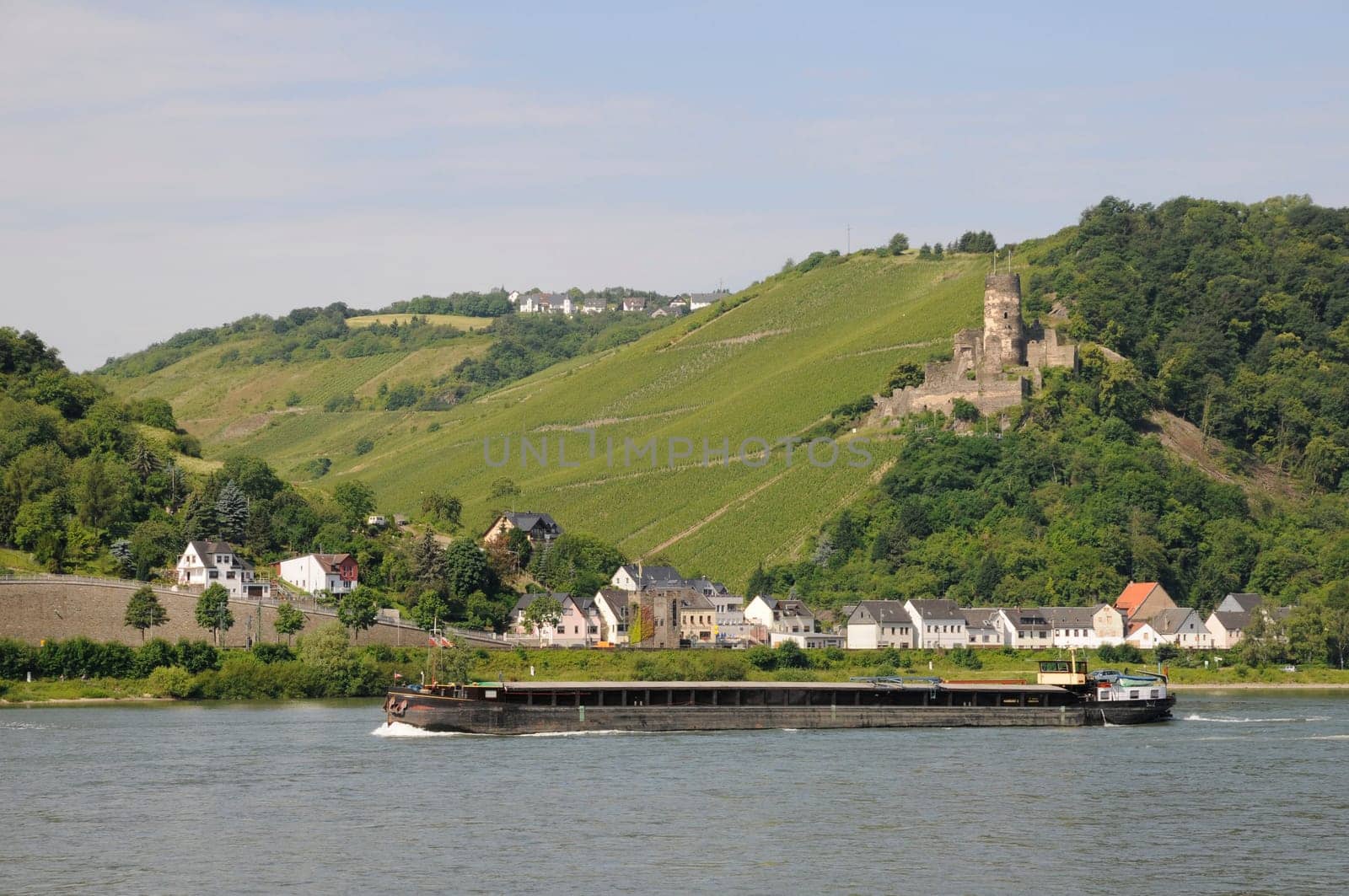 Barge on the Rhine near Rheindiebach