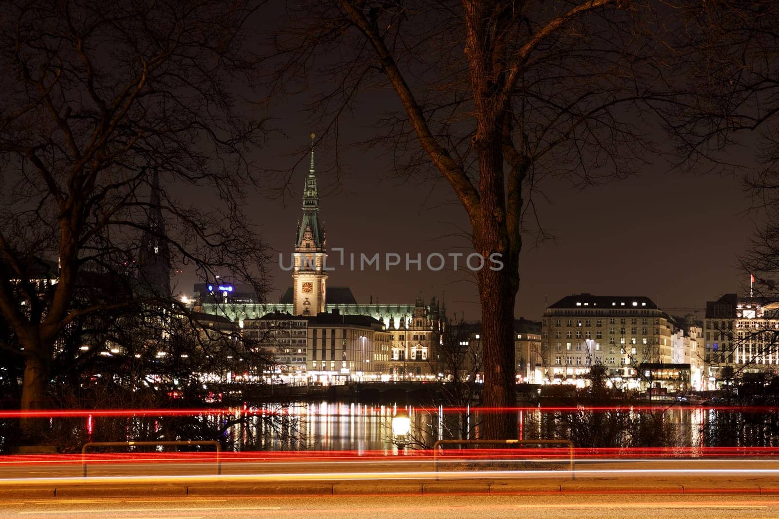 Alster with Hamburg City Hall at night