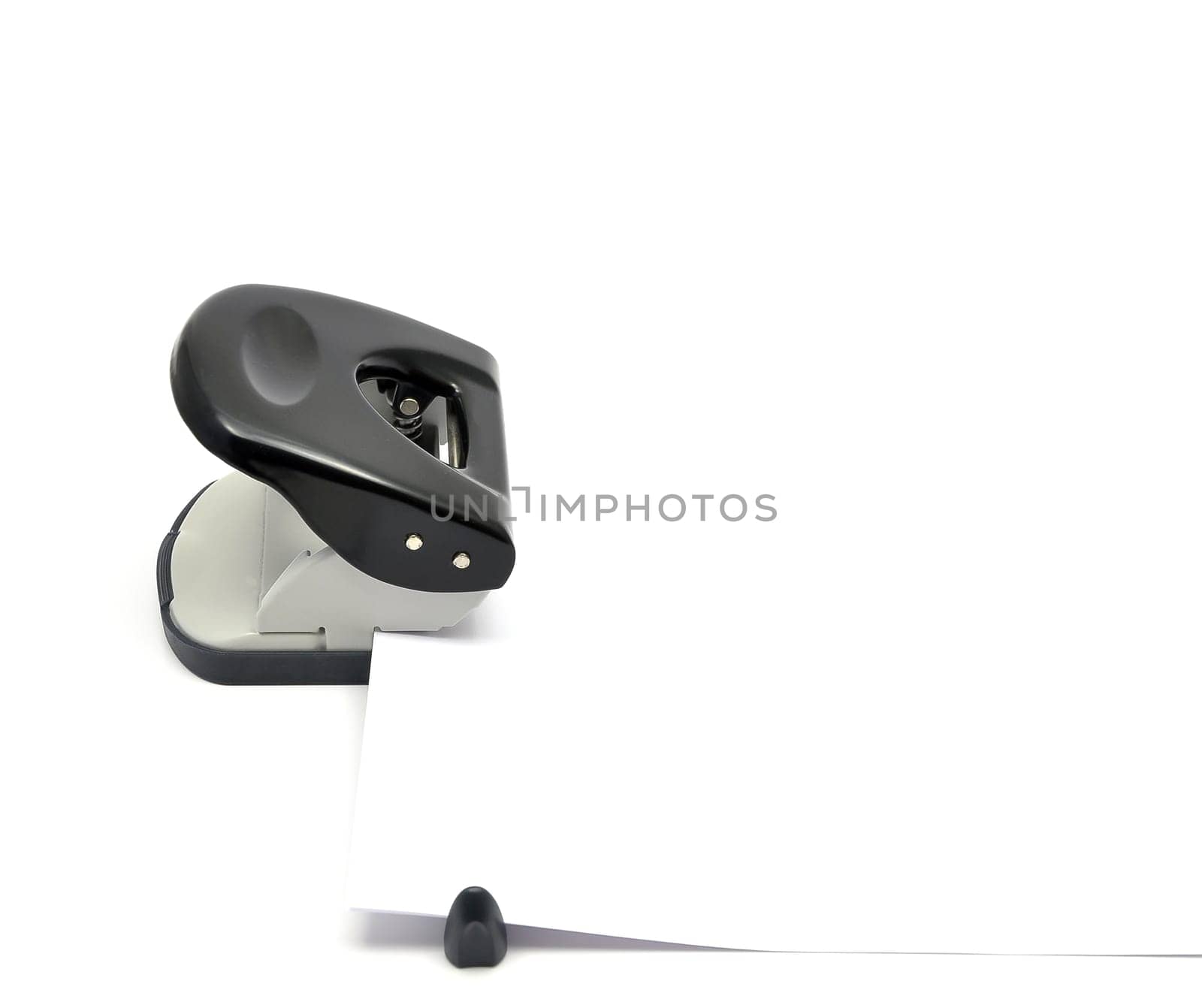 Hole punch with leaf
