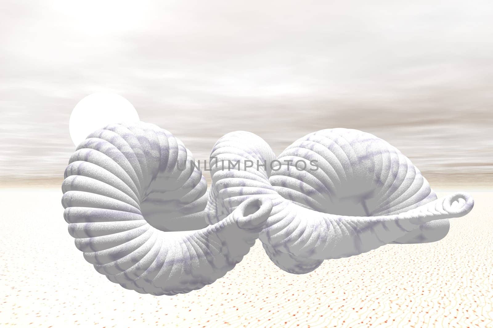 Mussels