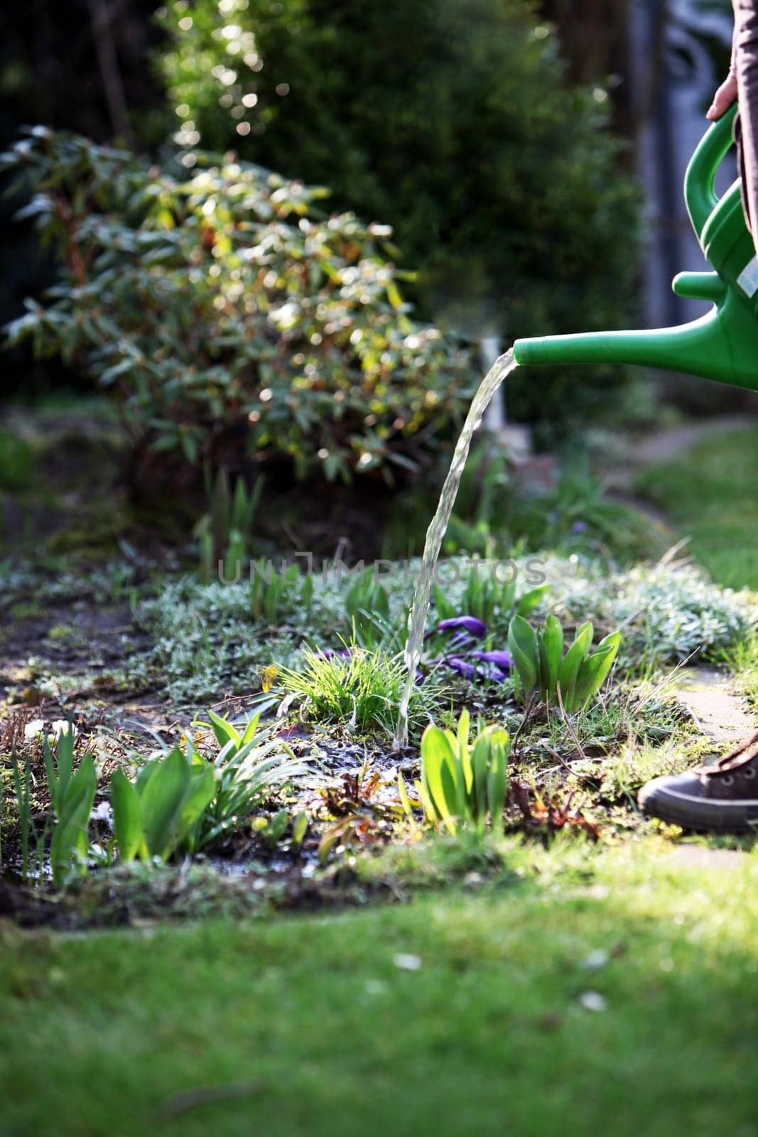 Watering flowers