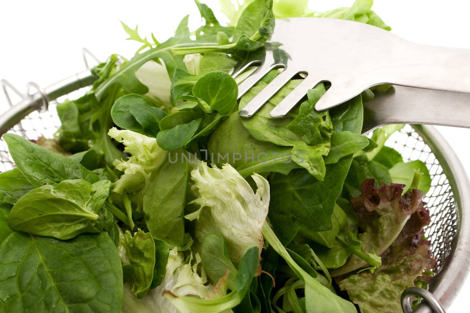 lettuce