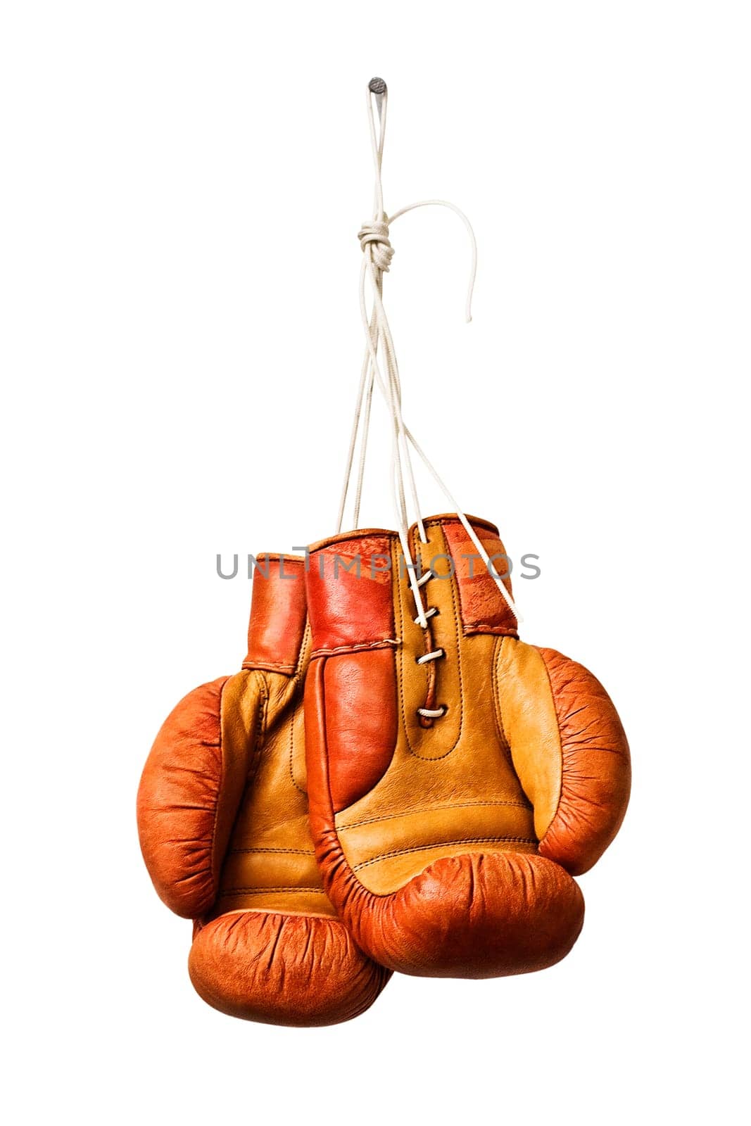 Boxing Glove -2-