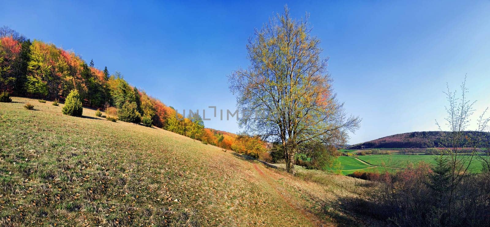 Autumn landscape near Obereichstätt