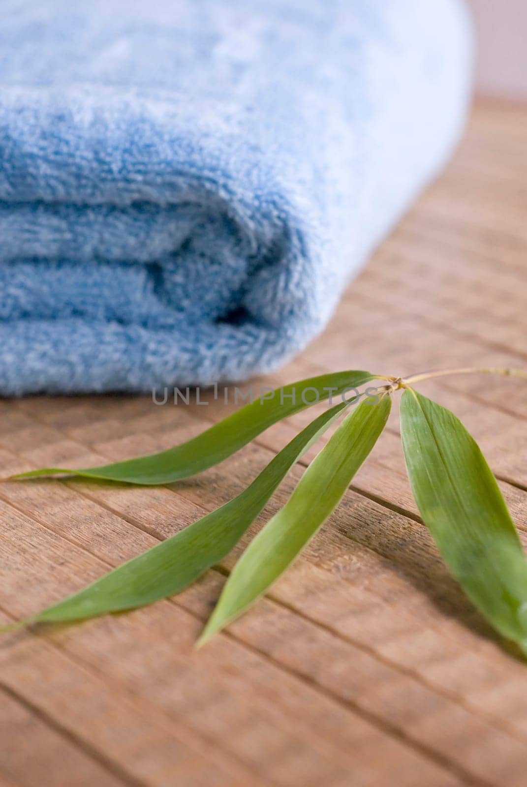 Towel 06