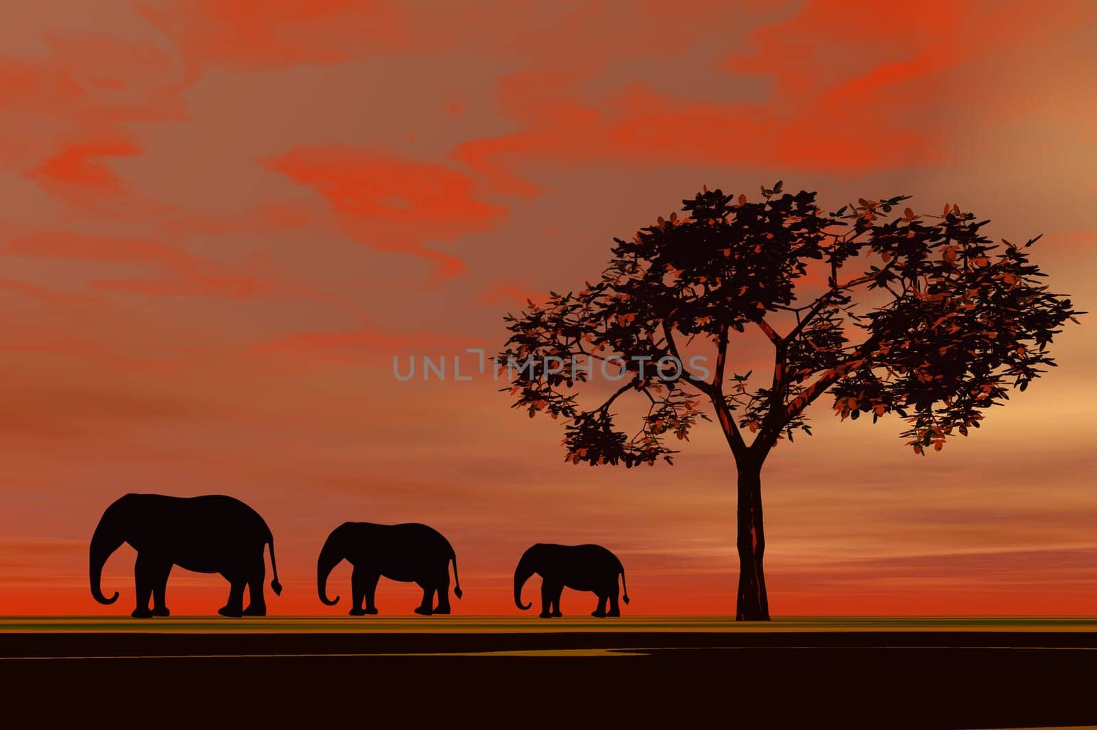 Paper Cut Elephants