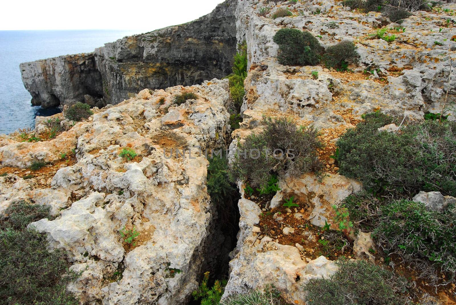 The crevice in the rock