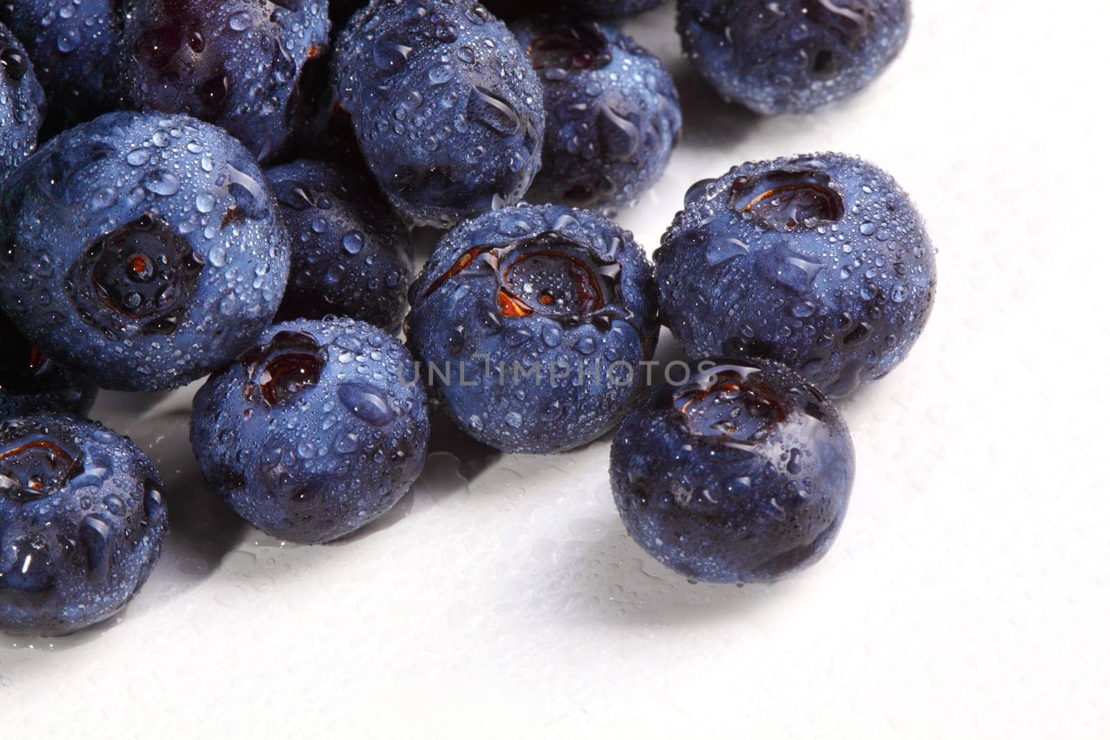 blueberry closeup