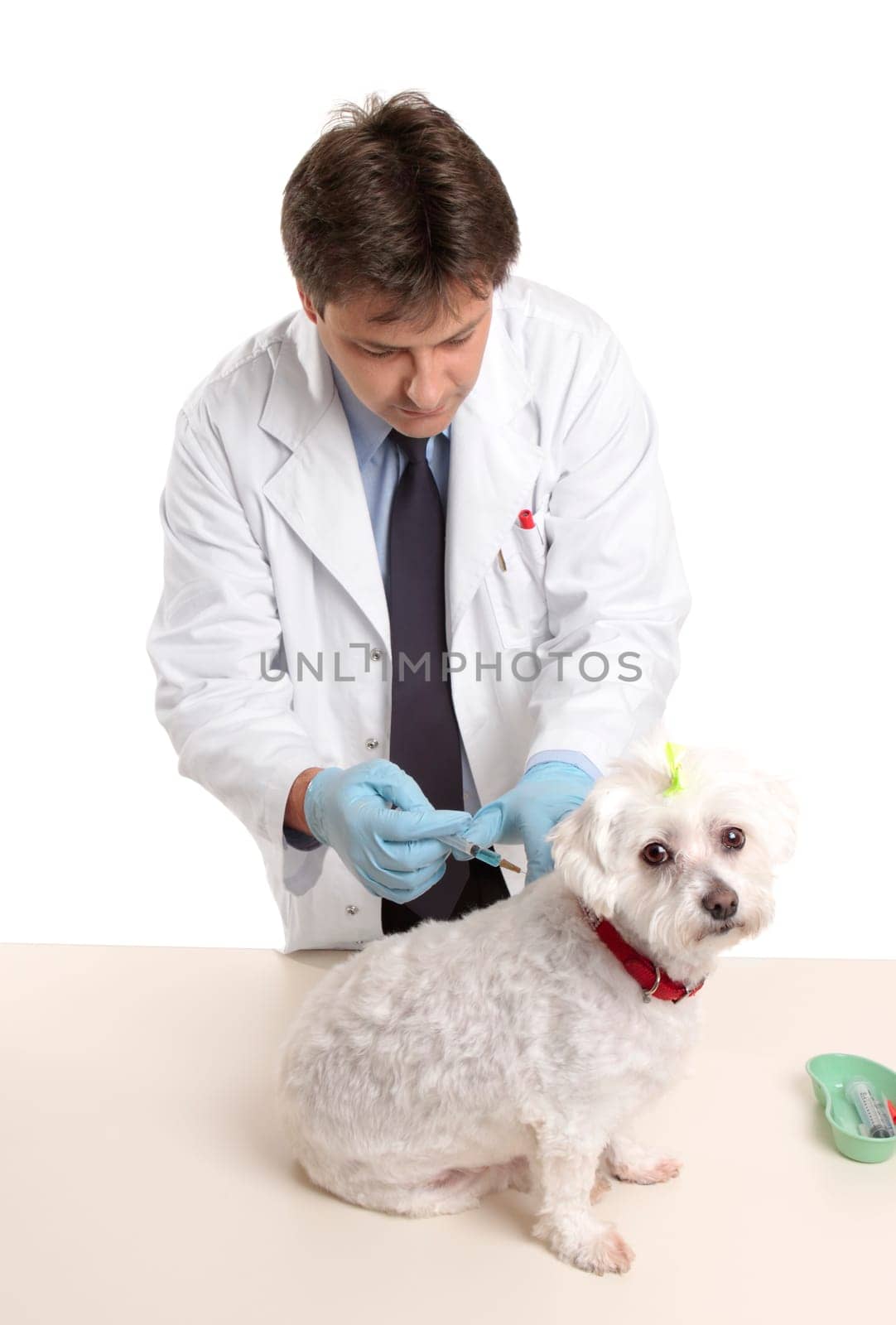 Vet giving dog injectable medication