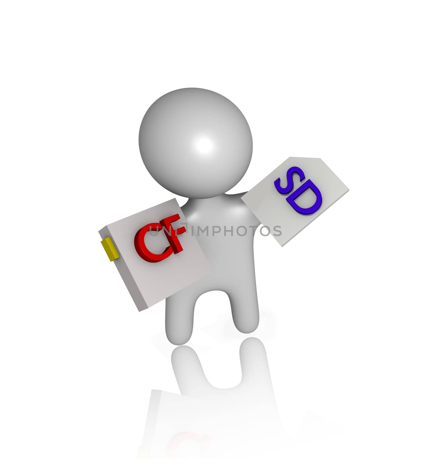 Memory cards cf and SD male 3d
