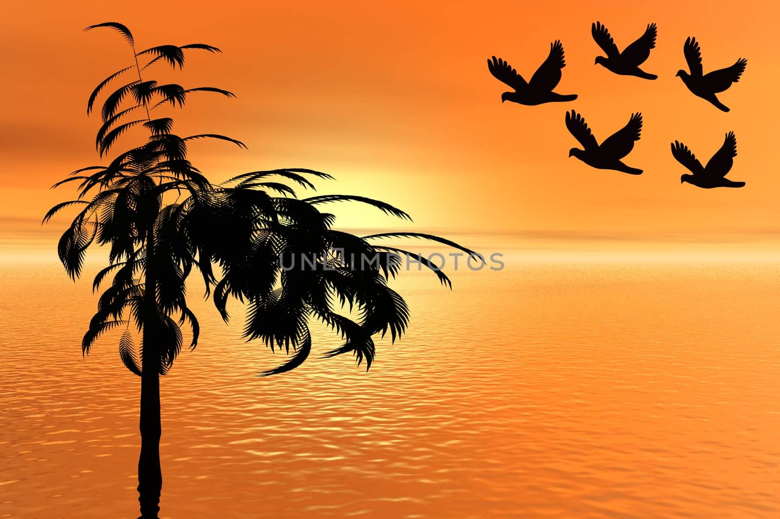 Paper Cut Birds