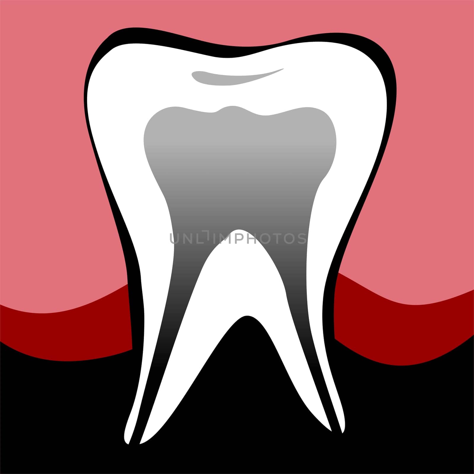 Teeth