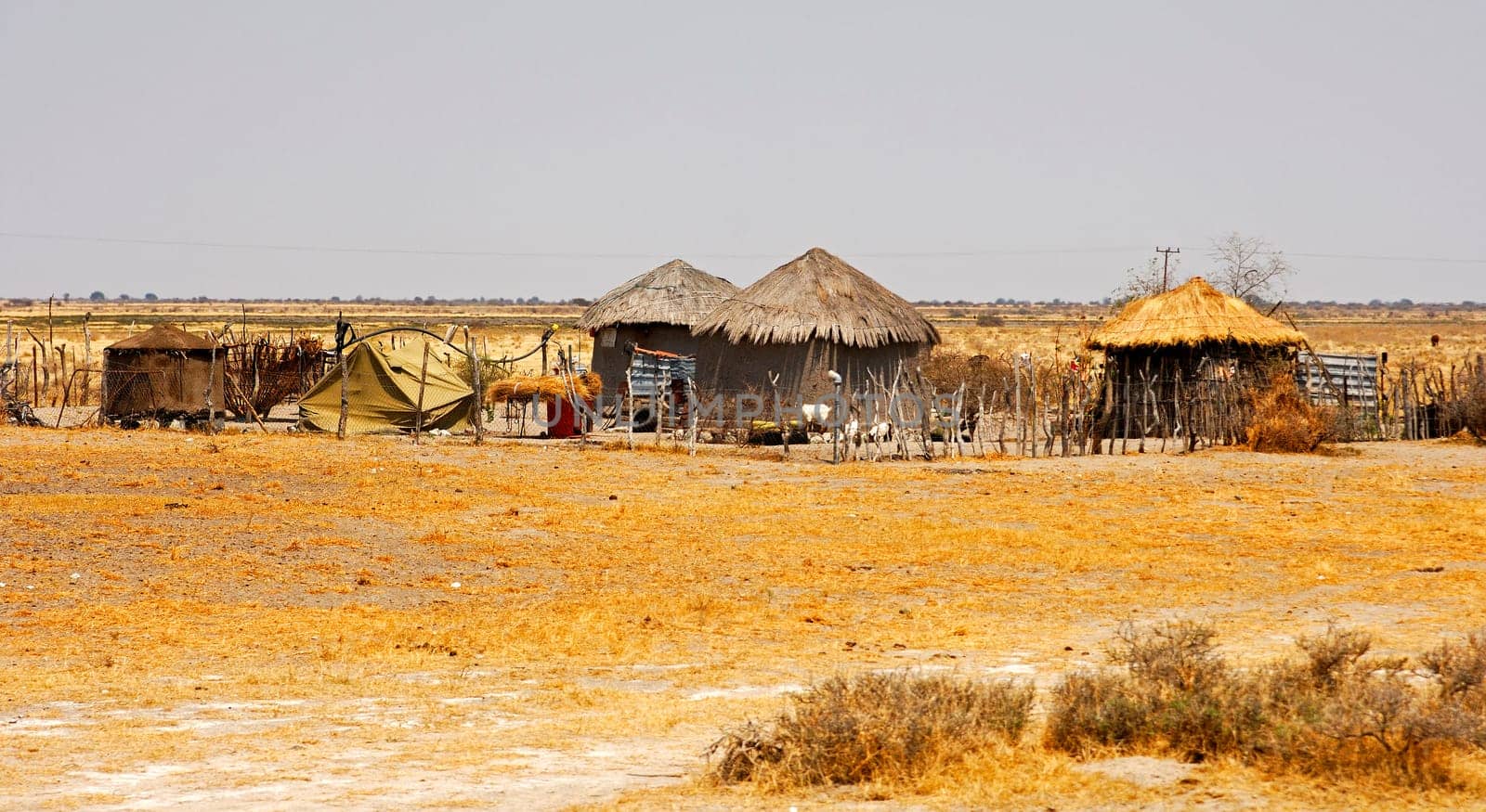 Settlement in Africa