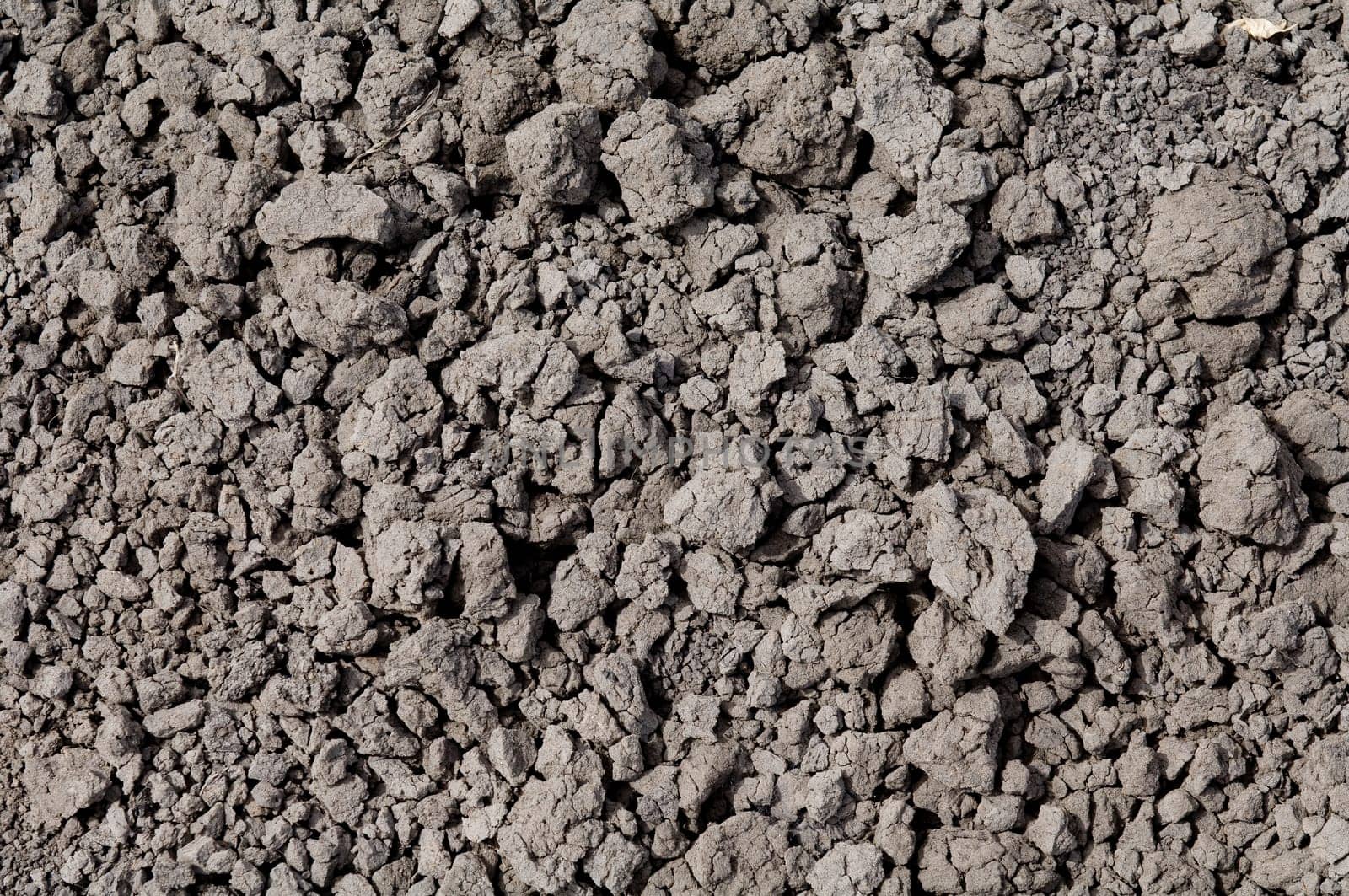 Dry Cracked Earth