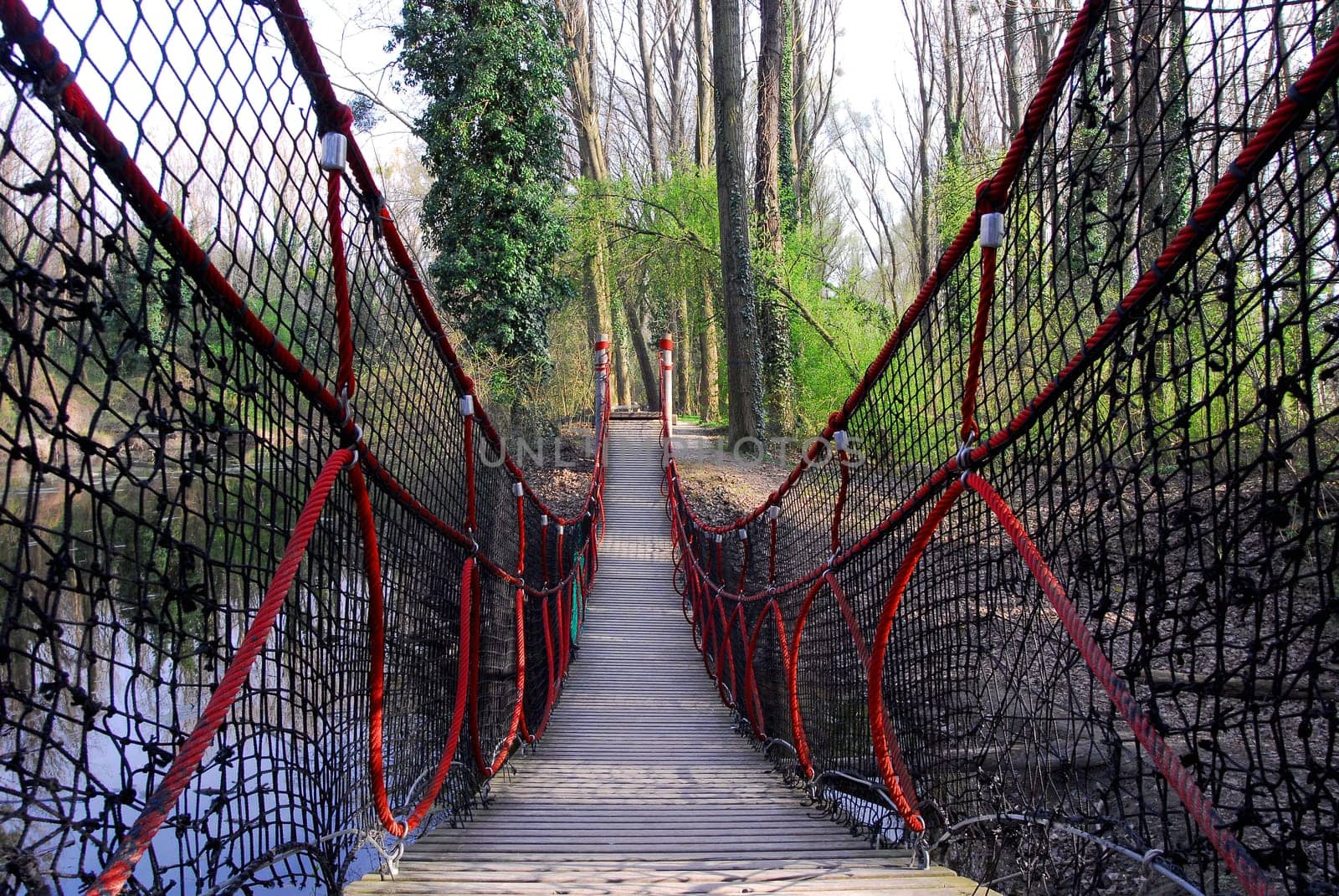 The Suspension Bridge