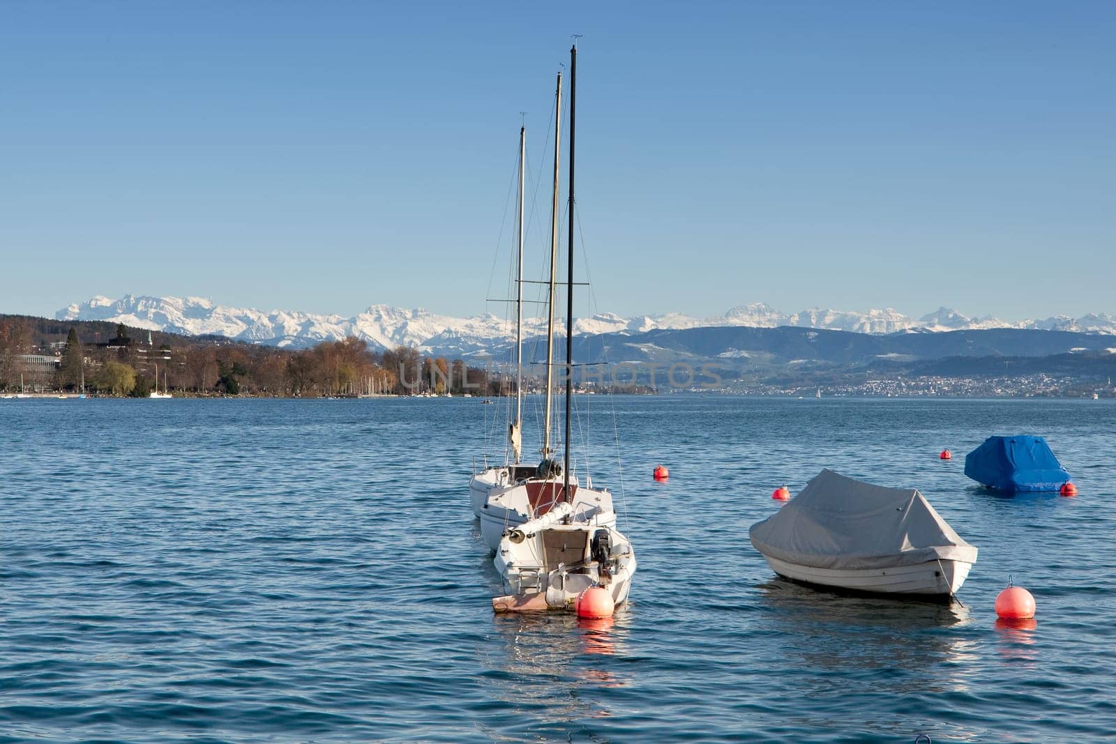 Lake Zurich with Alps