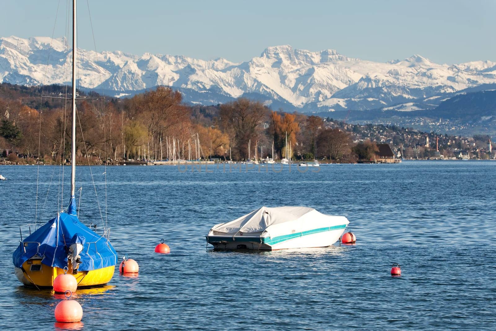 Lake Zurich with Alps