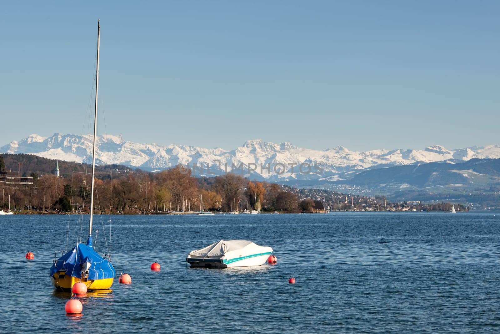 Lake Zurich with Alps