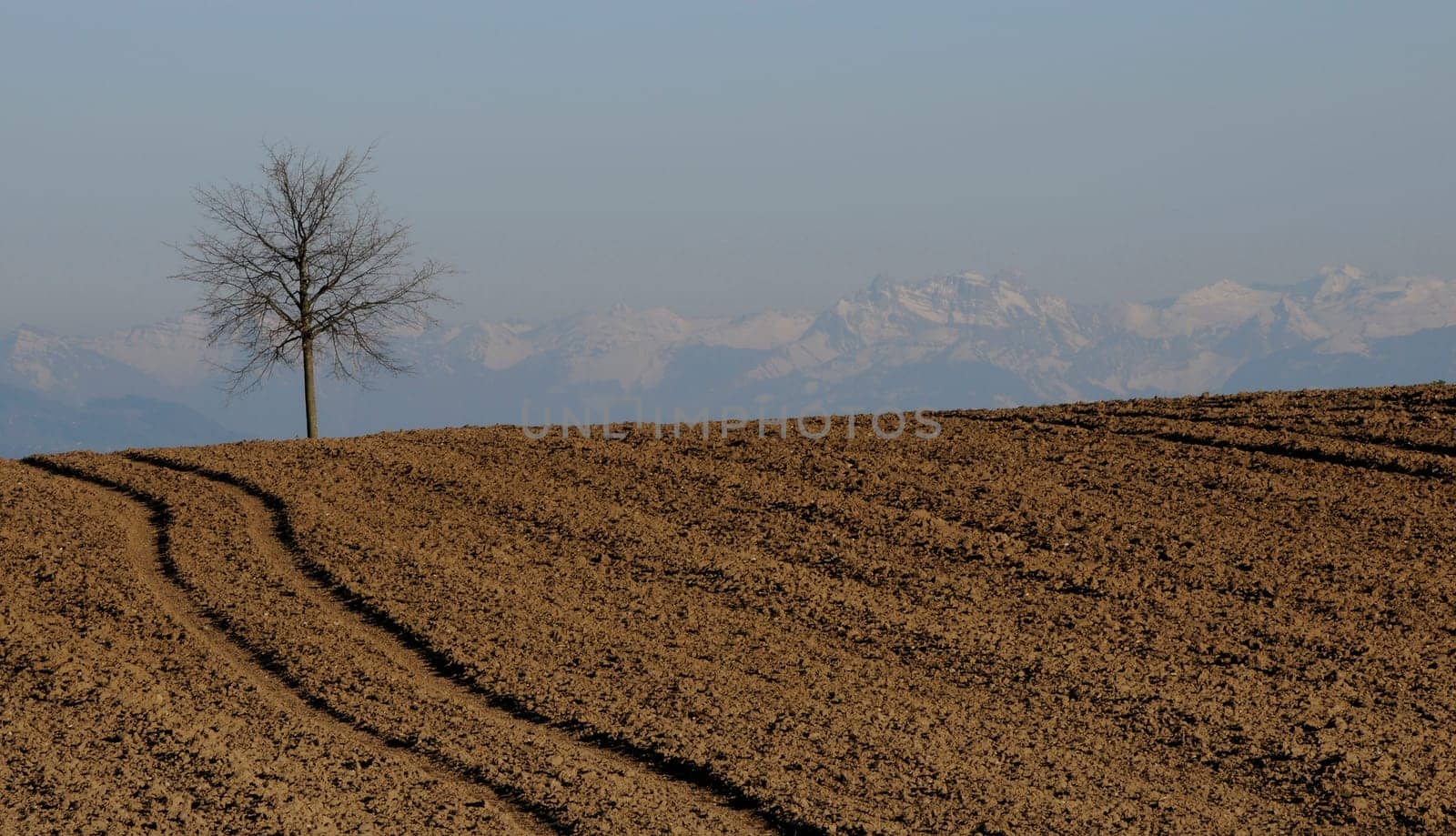 Foehn