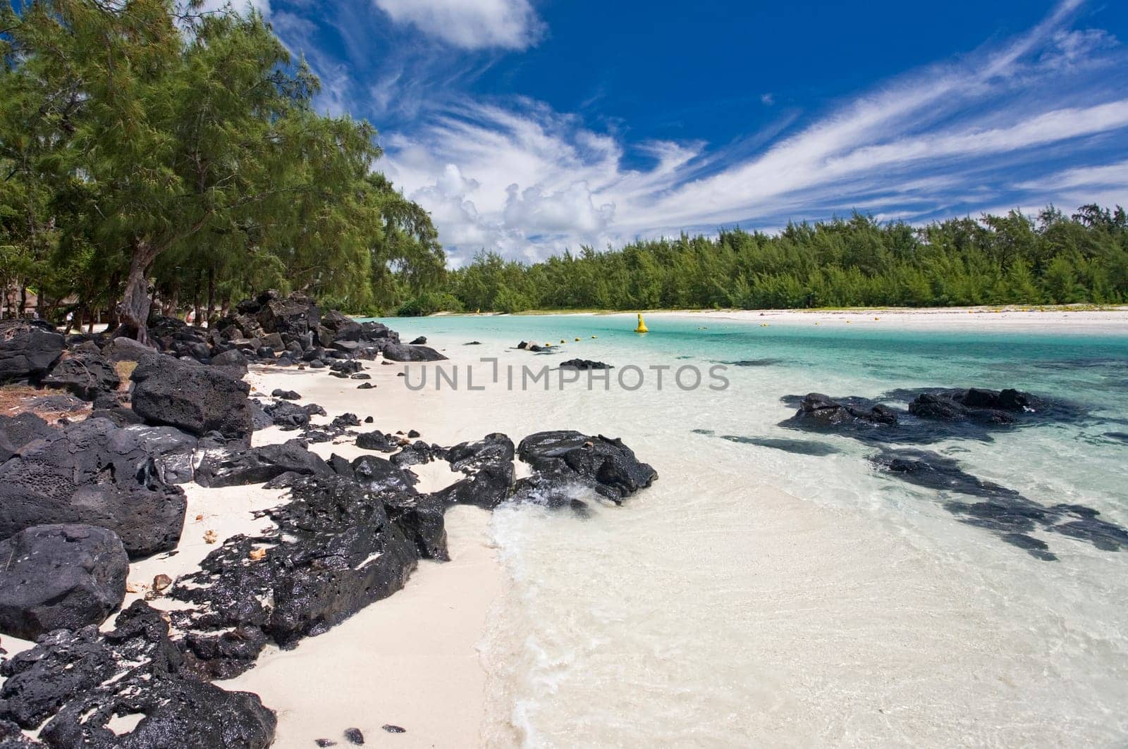 Dream Island