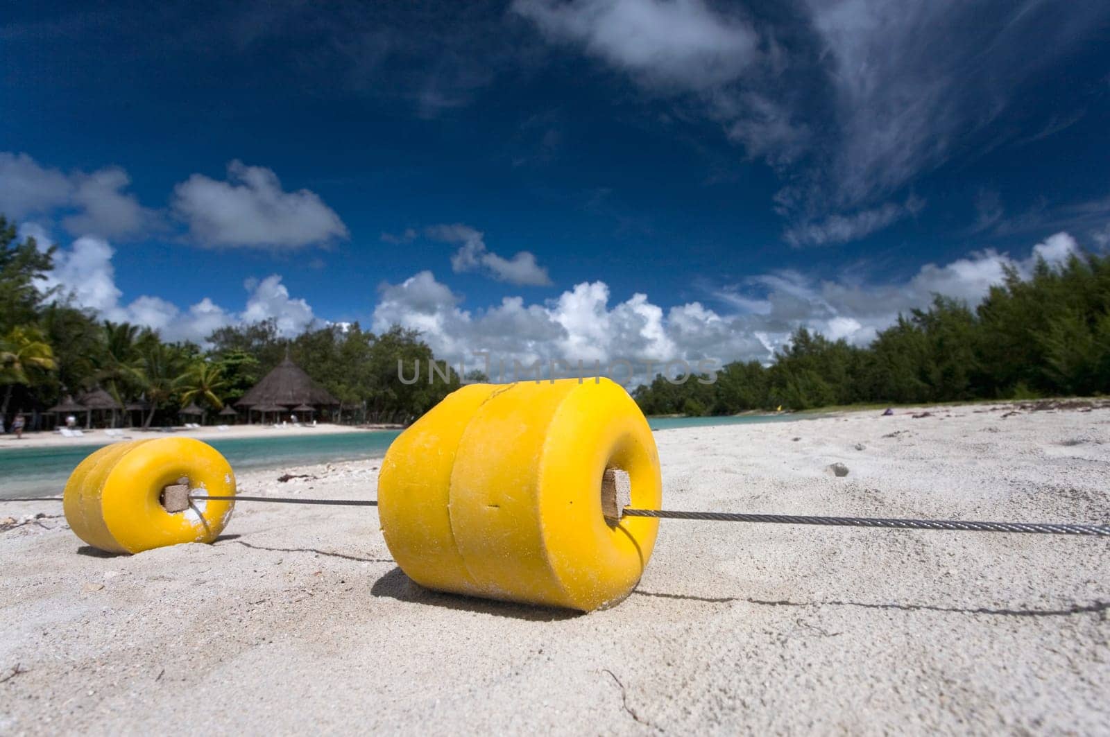 yellow bathing border