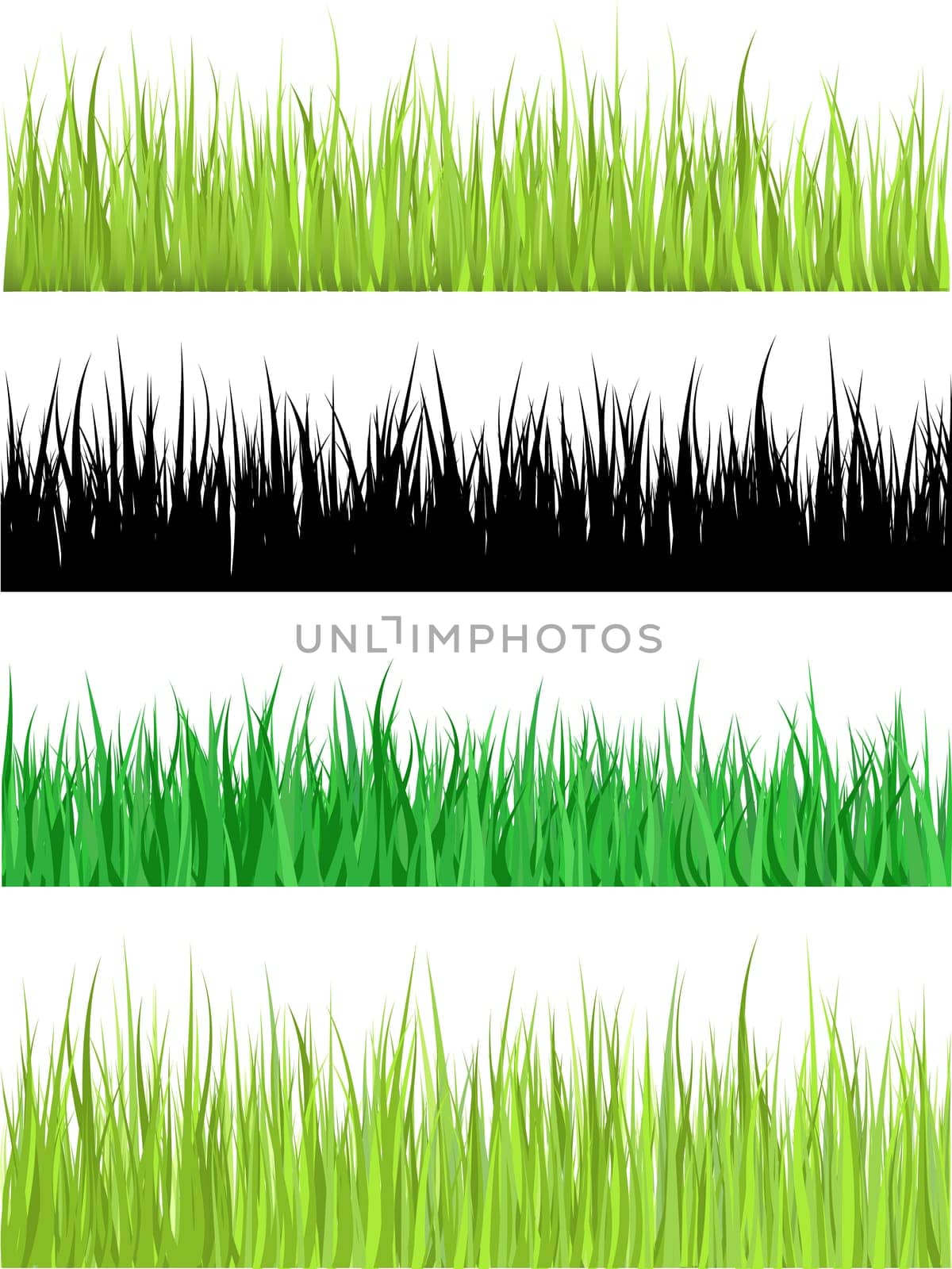 Detailed grass