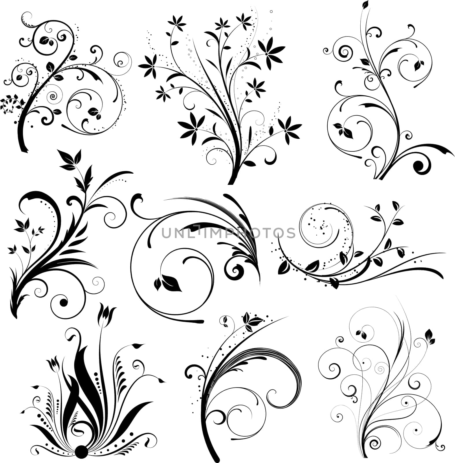 Various decorative floral designs