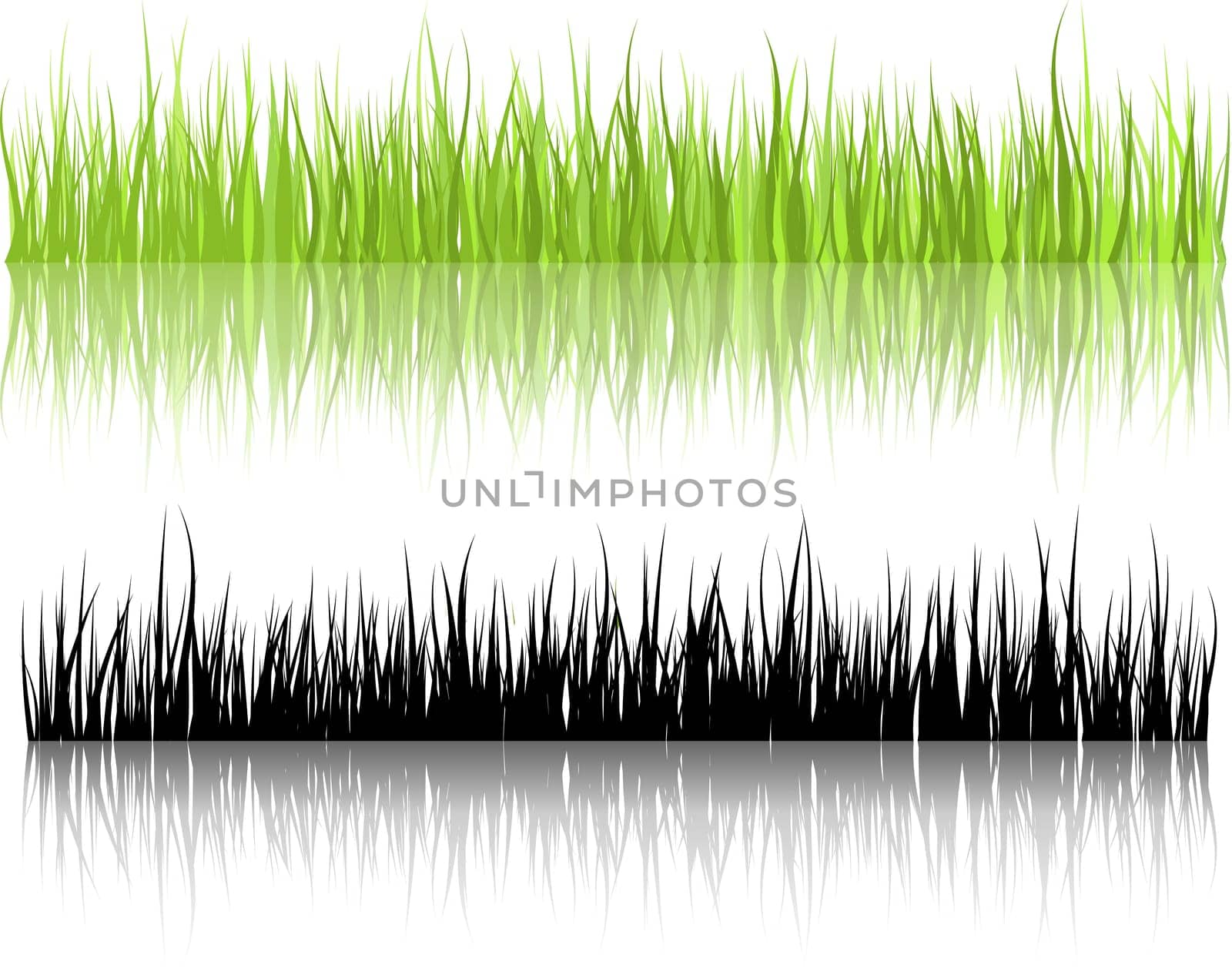 Grass illustrations with reflections