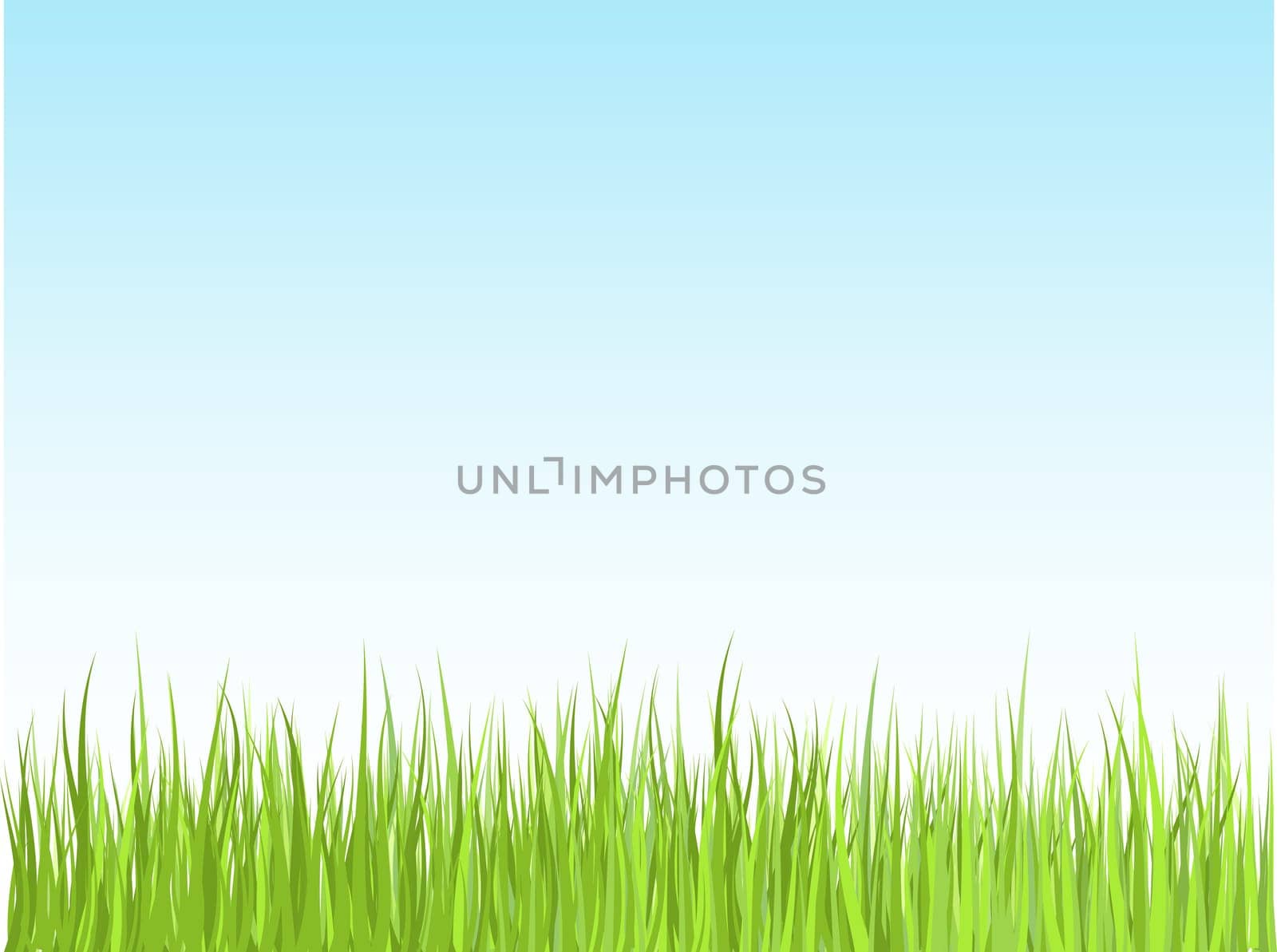 Grass against blue sky