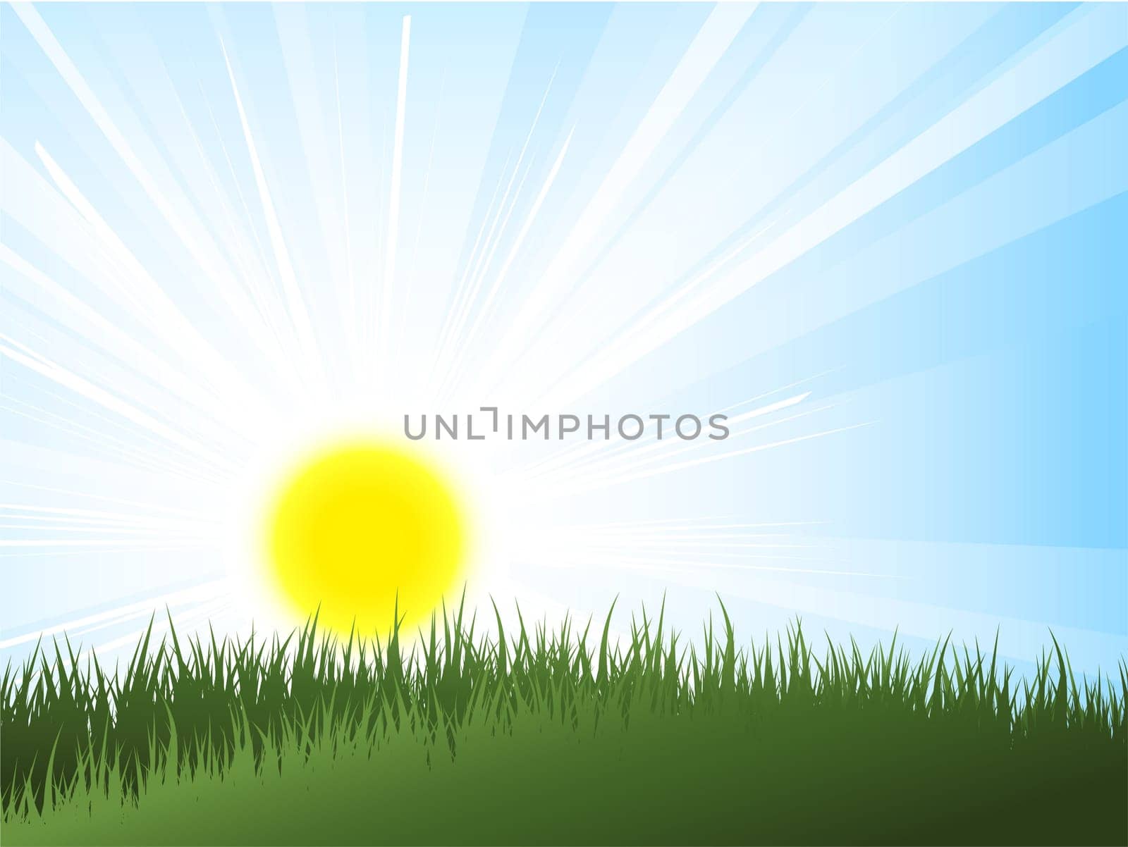 Sun rising over green grass