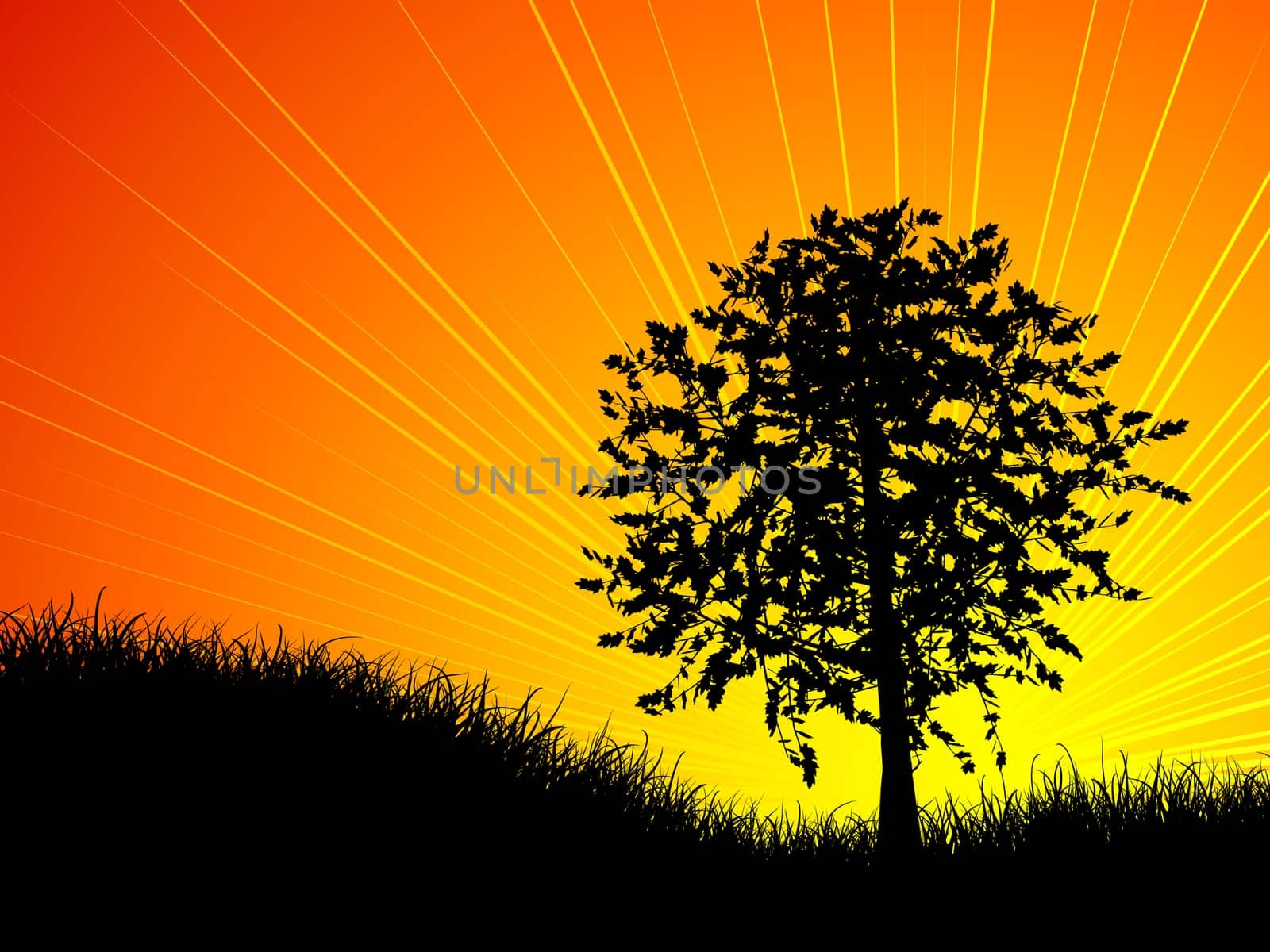 Sun setting behind a tree