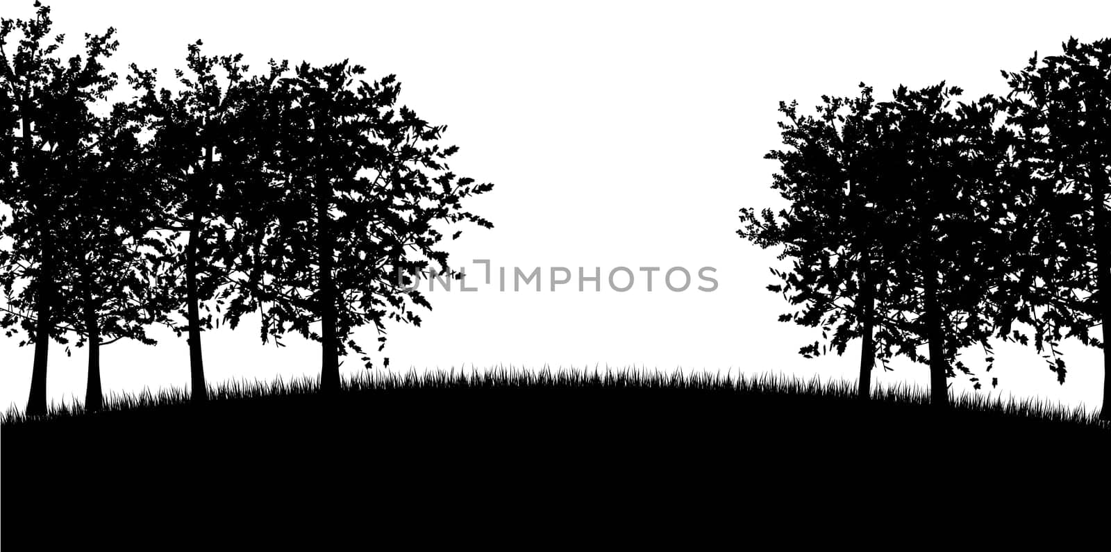 Silhouettes of trees