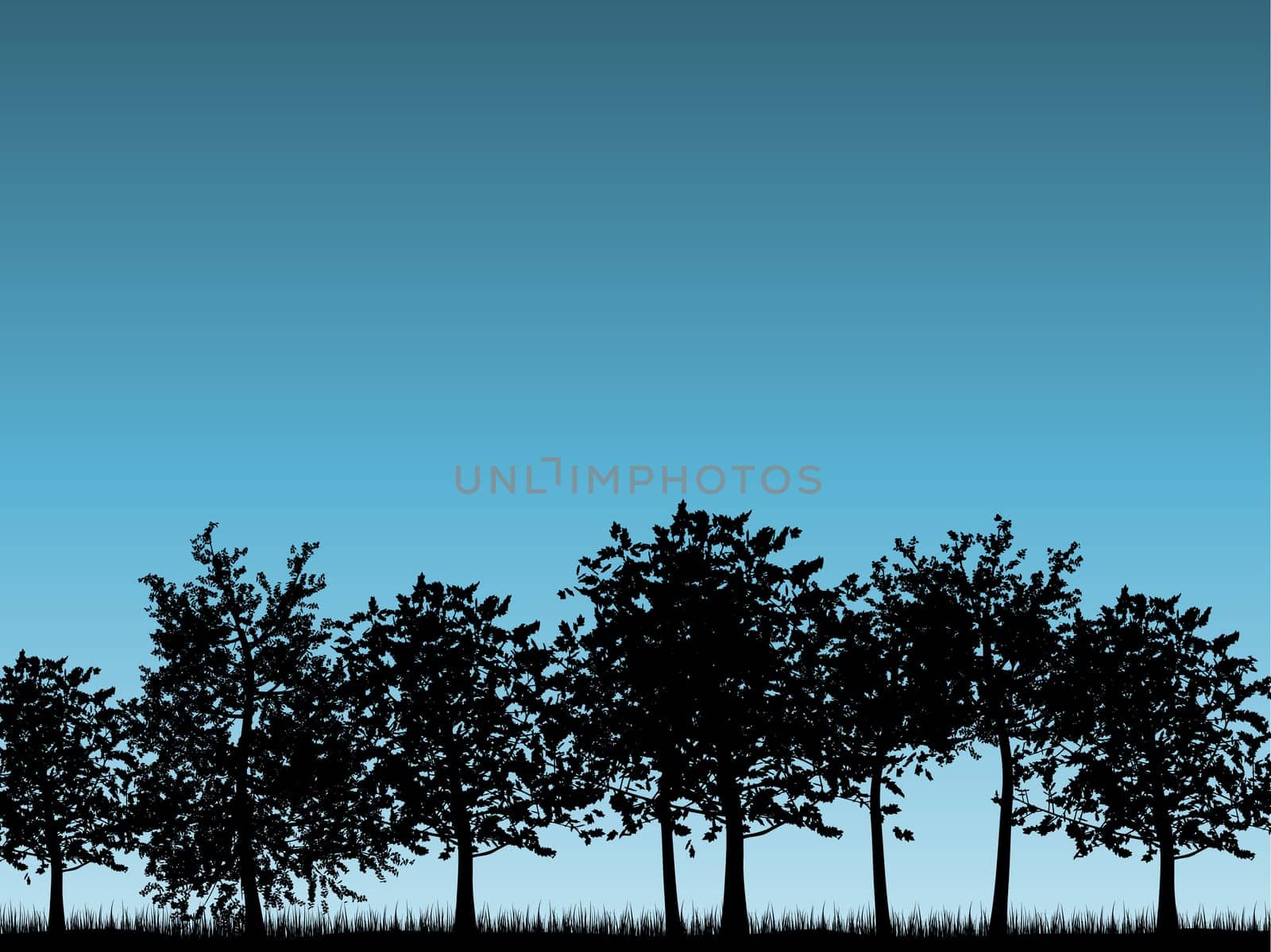 Silhouettes of tree landscapes