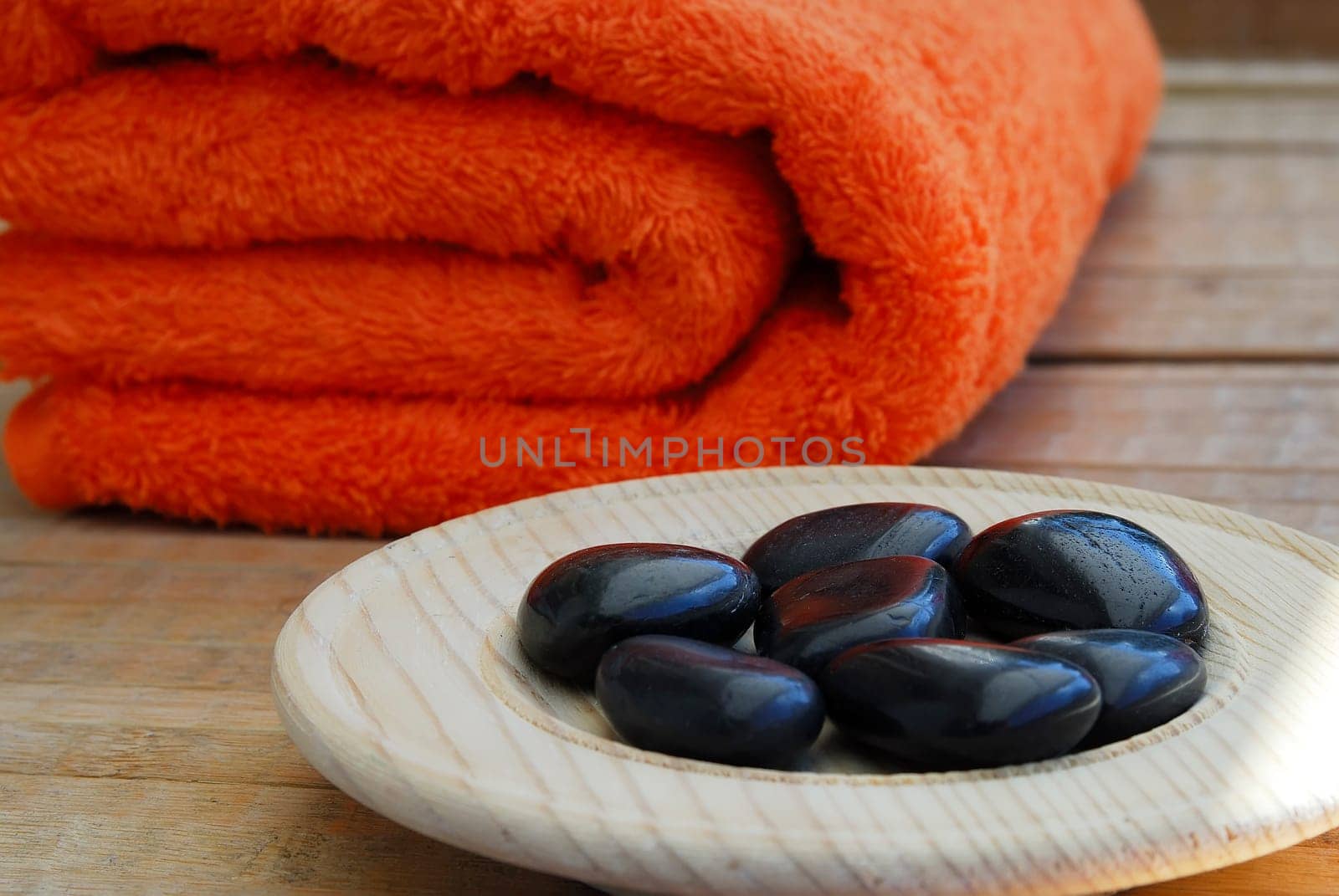 Wellness 28
