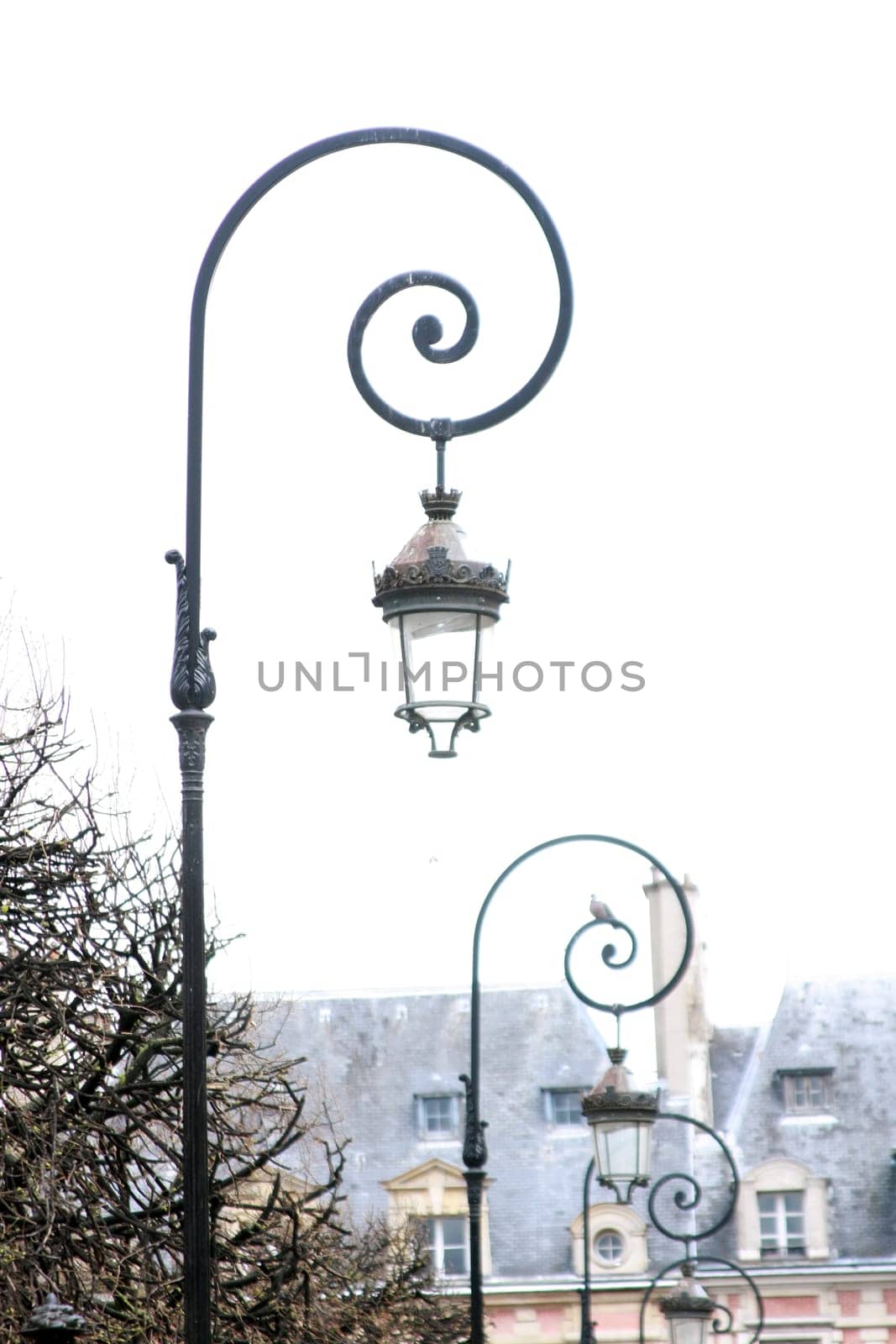 Lantern