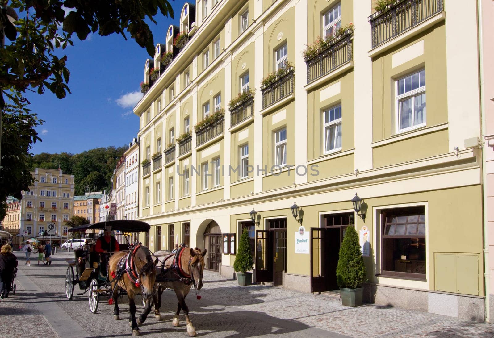 Karlovy Vary Carriage Ride