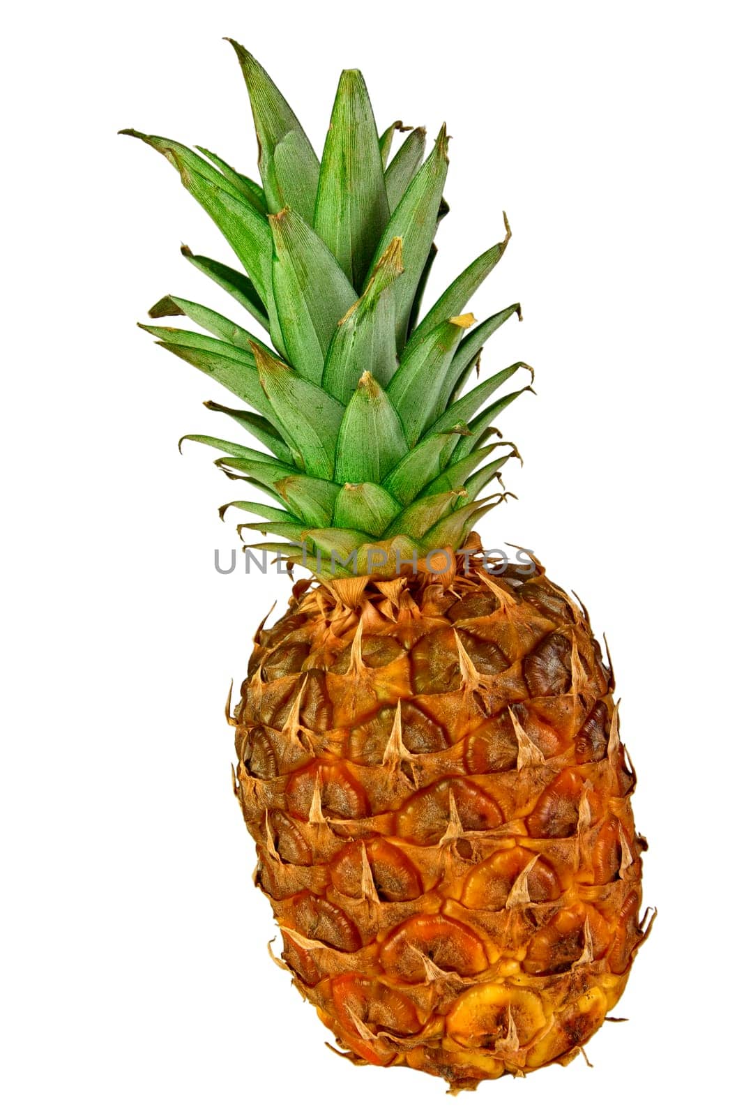 pineapple fruit isolated on white