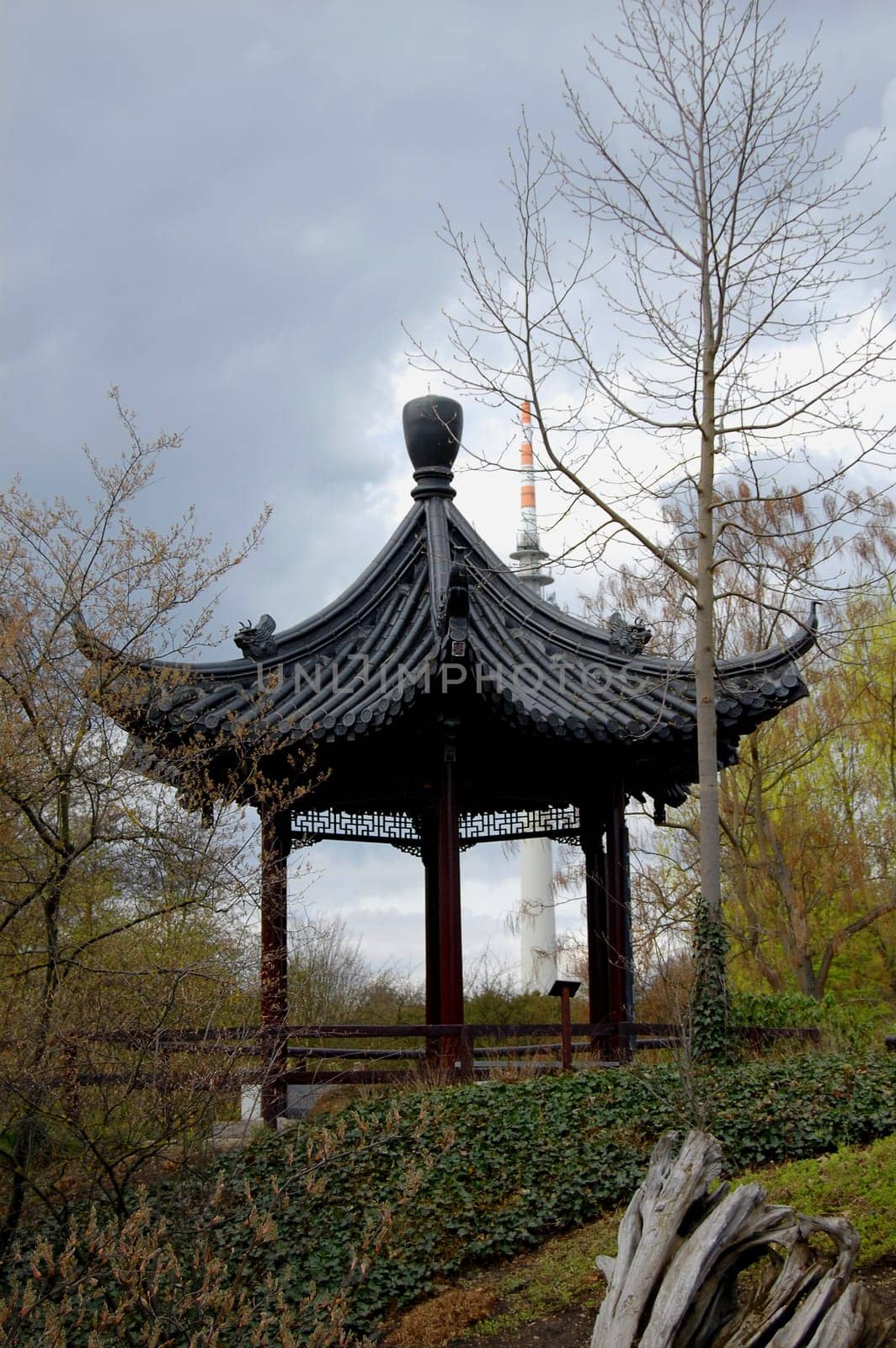 Chinese Refuge