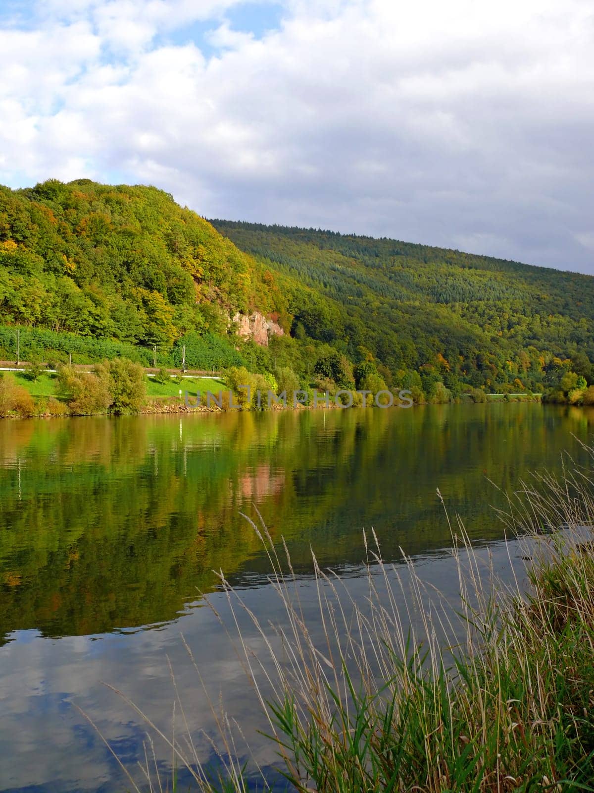 The Neckar [near Rockenau]