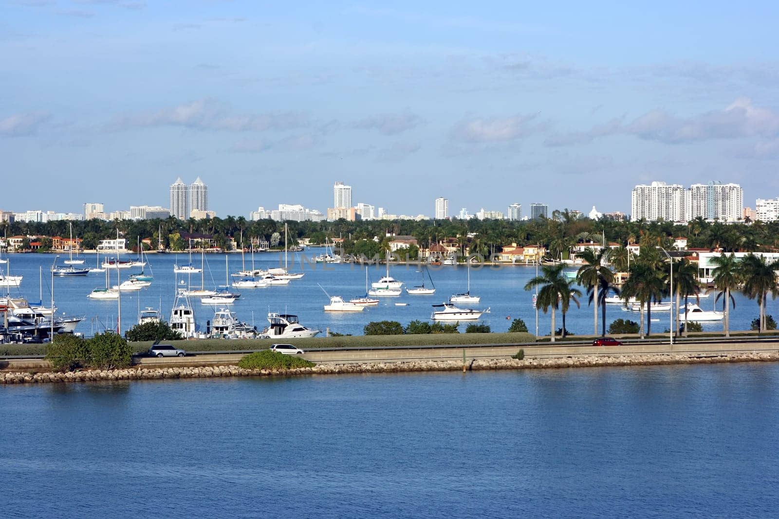 Miami cityscape