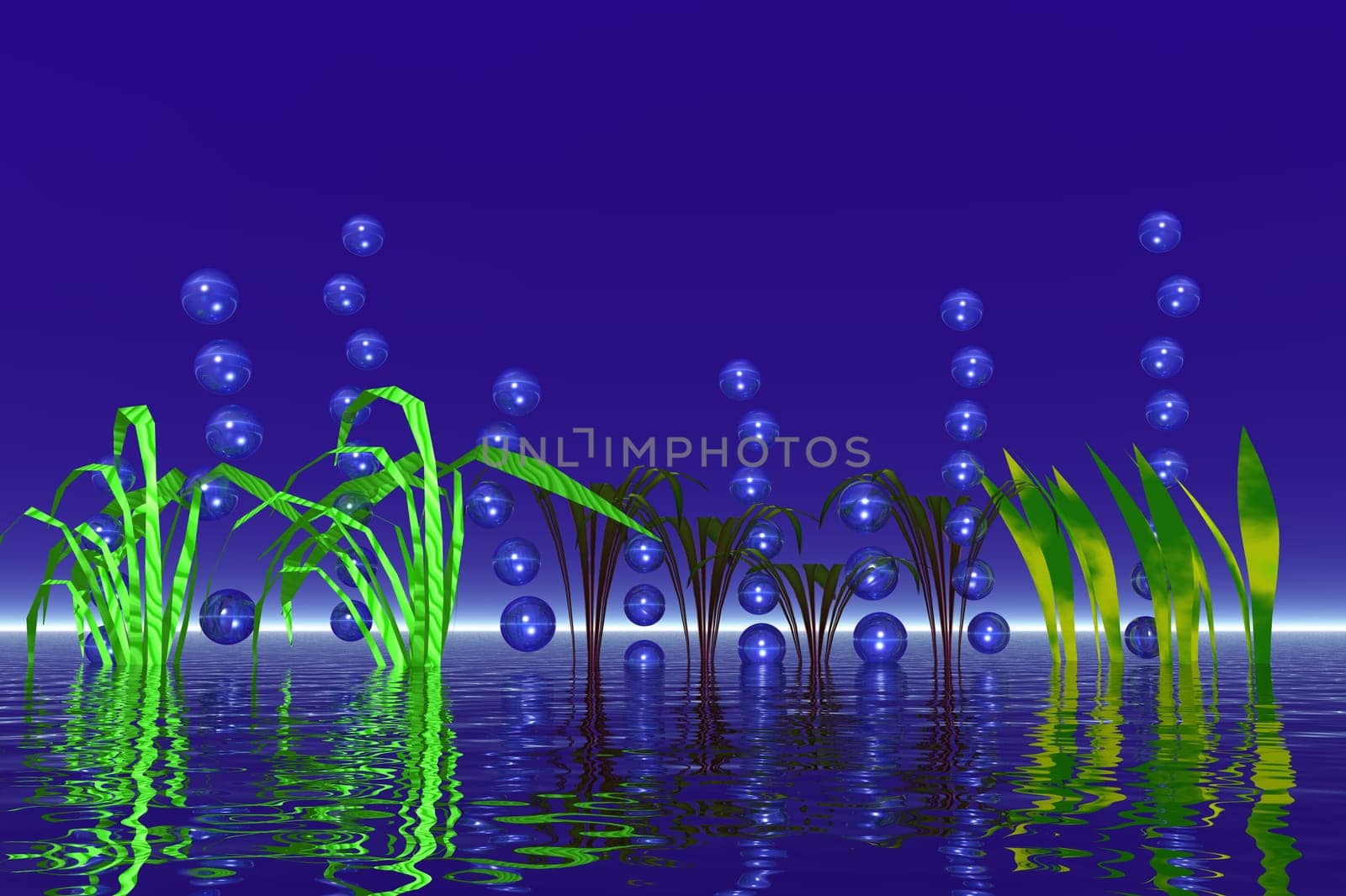 Bubbles