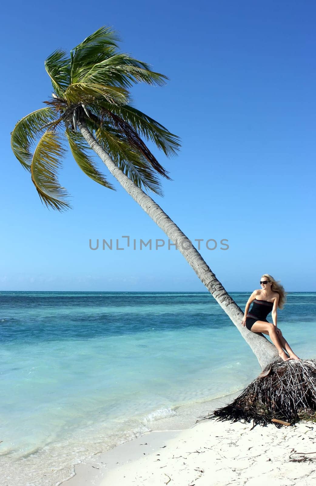 Palm and girl