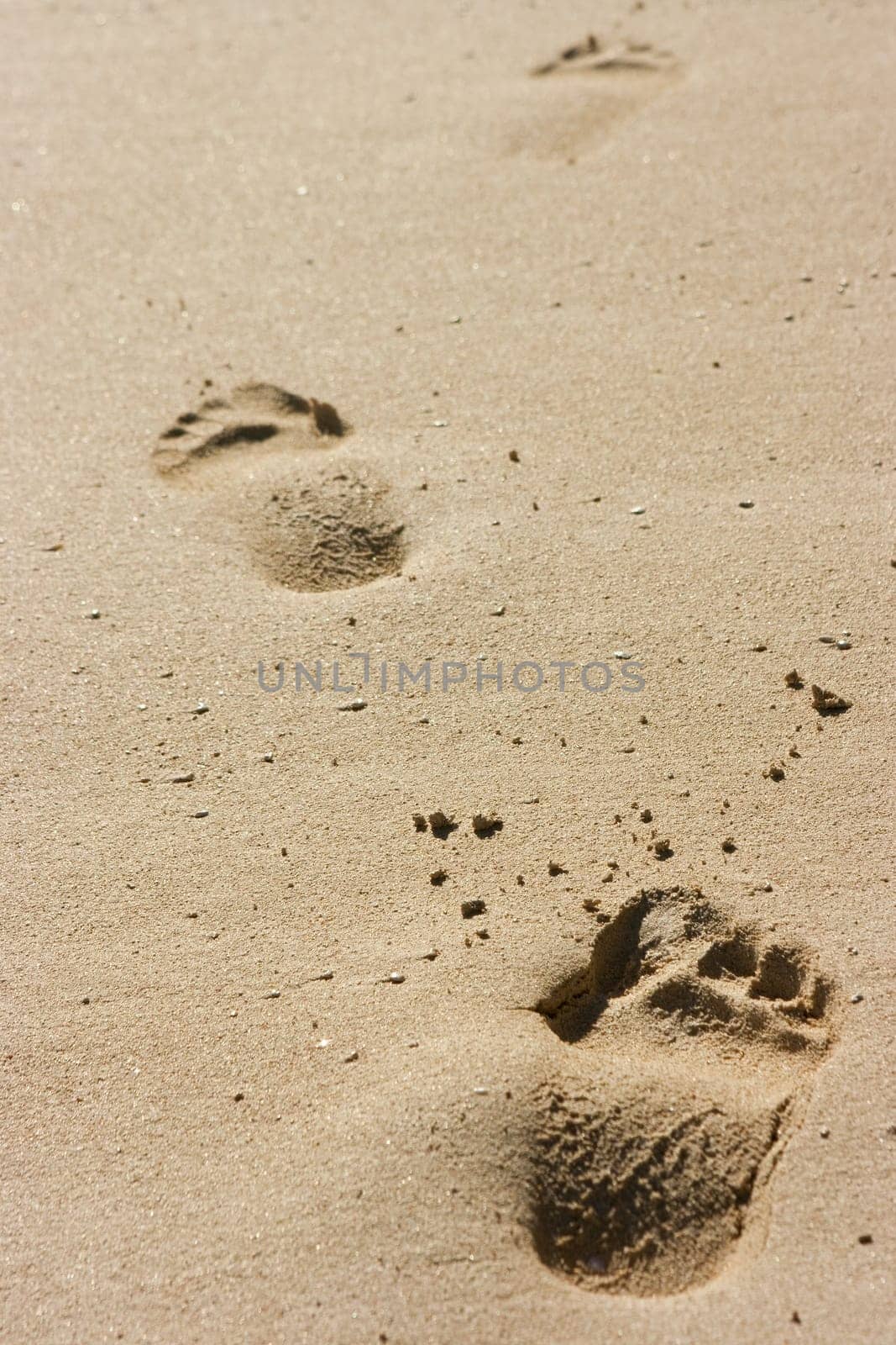 Footprints on sand