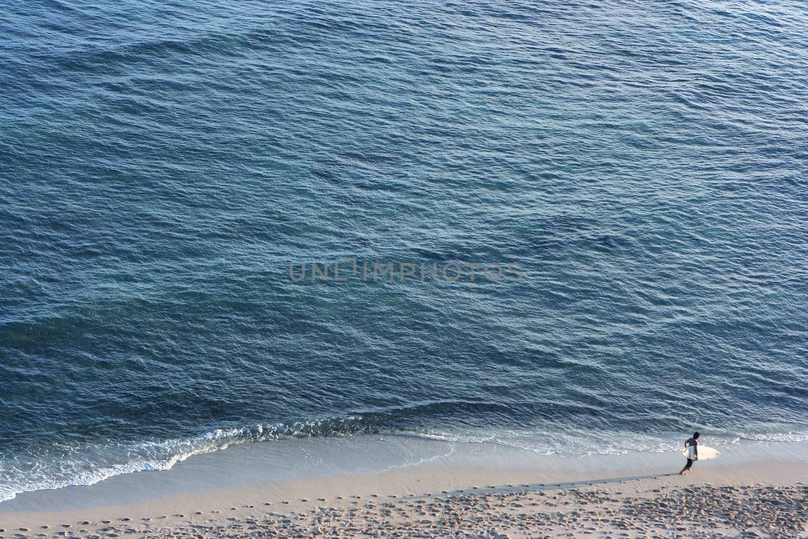 Surfer