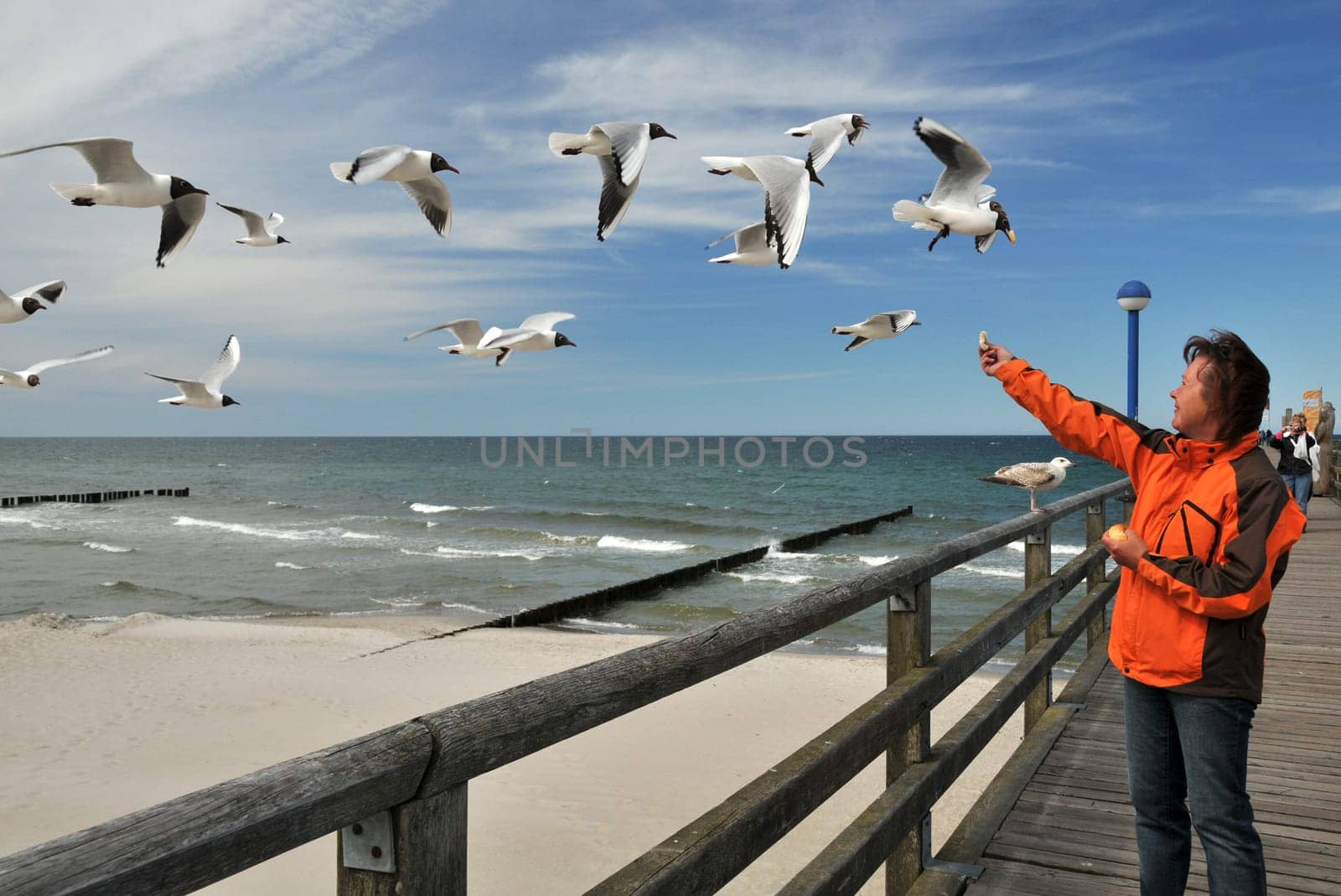 On the pier in Zingst